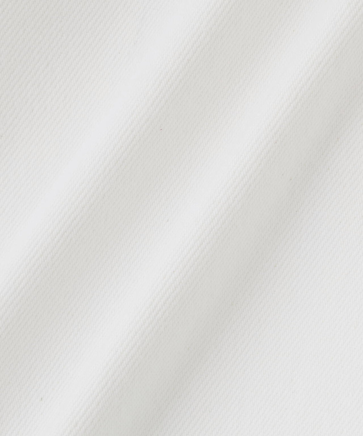 LEMAIRE / TWISTED BELTED PANTS