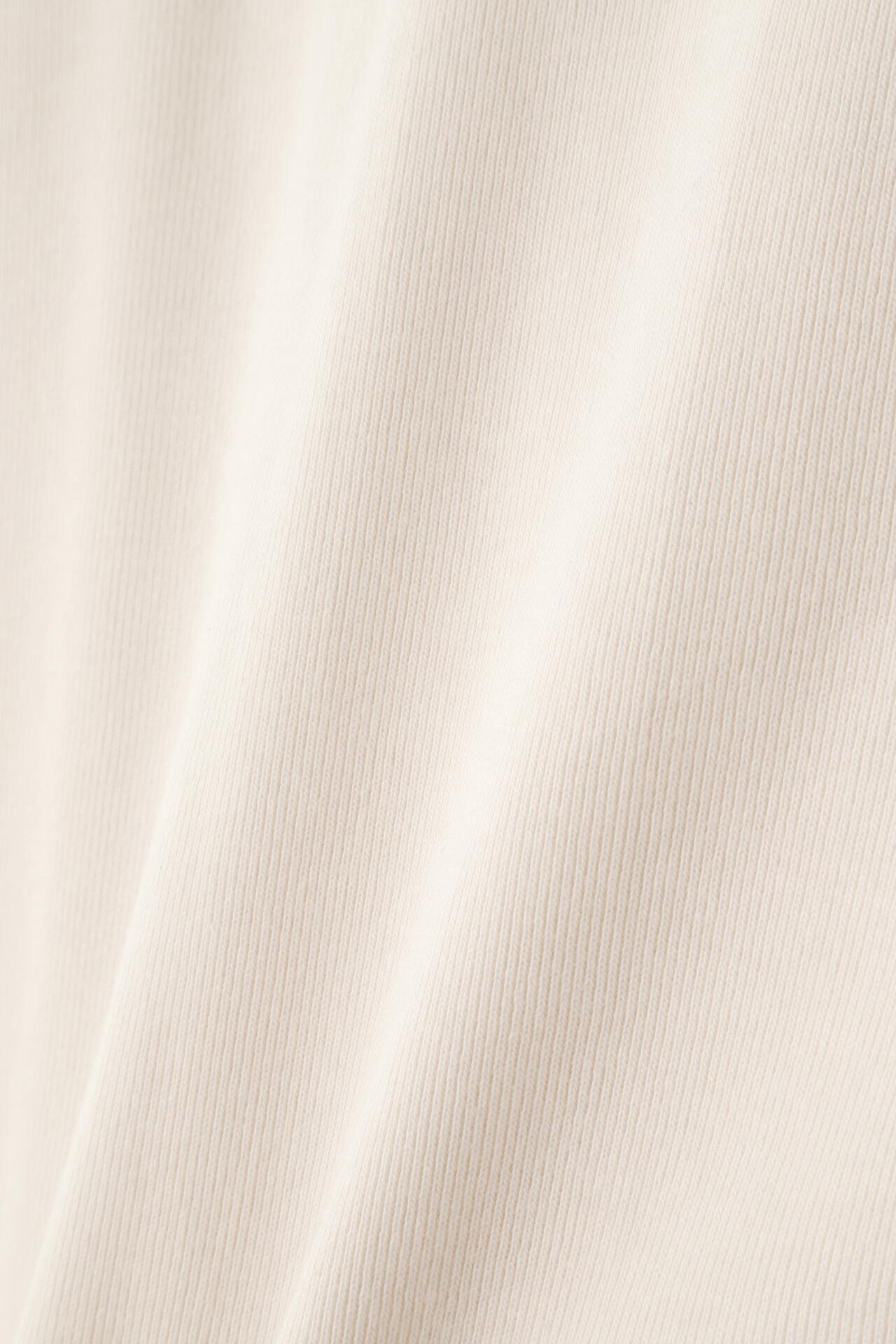 YLEVE / COTTON RIB PULLOVER BIG