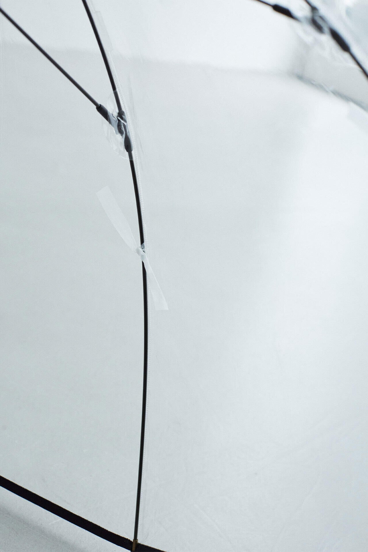 5b3c8006-293c-56a9-96a7-6650b8ac2116_Image