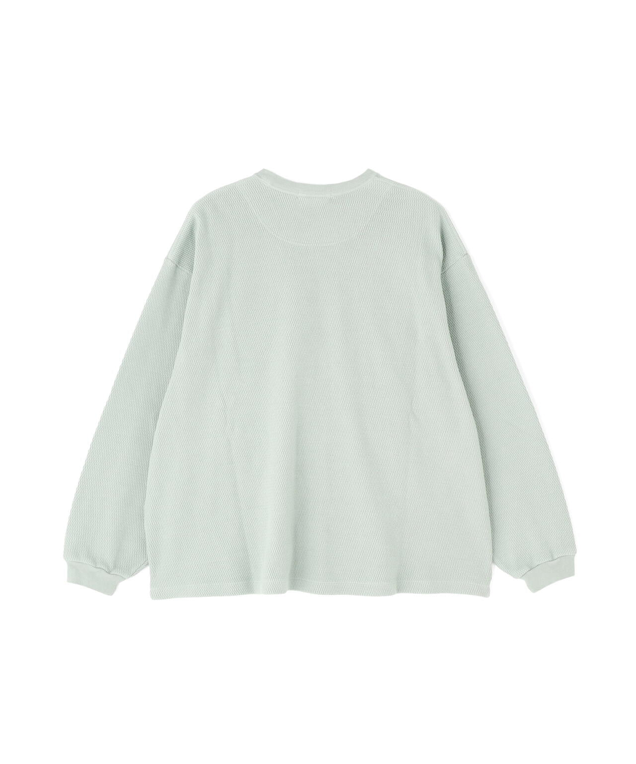 POLYPLOID / OVERSIZE LONGSLEEVE C