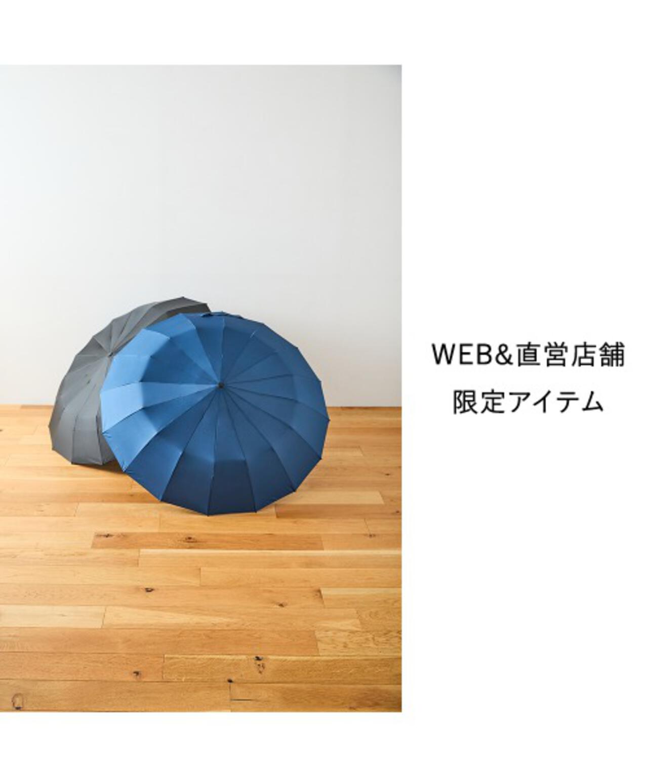 16RIB Folding Umbrella