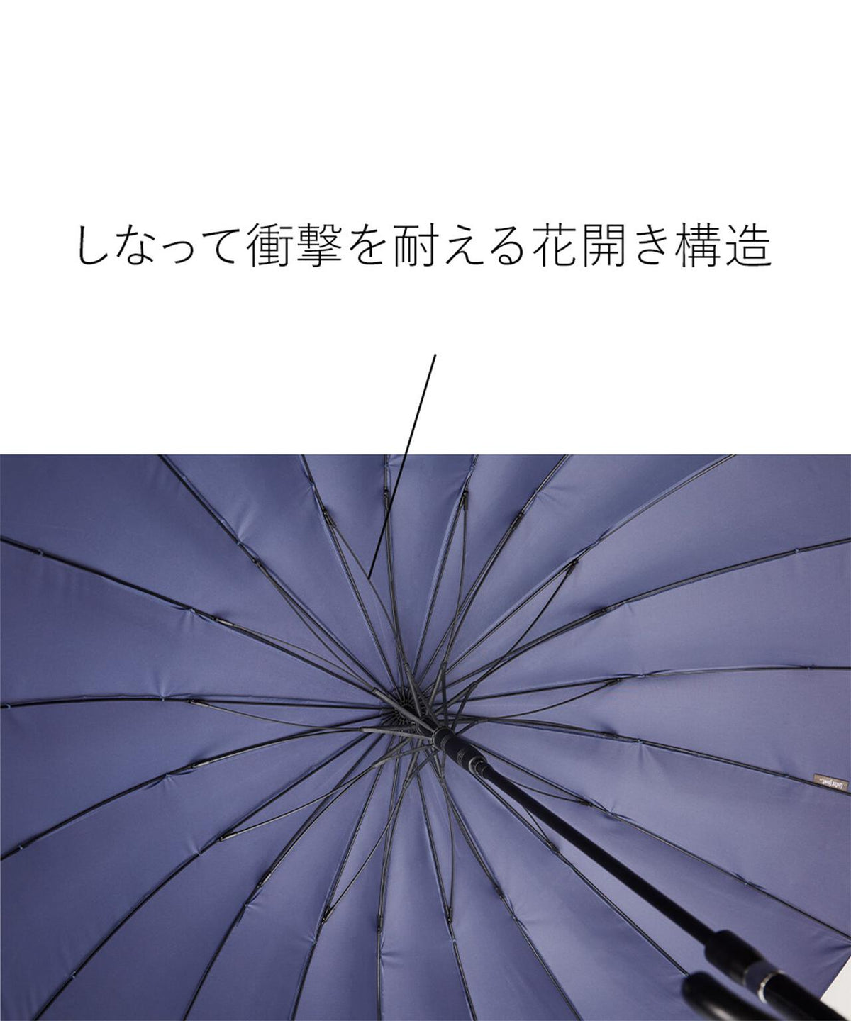 富山サンダー 20本骨