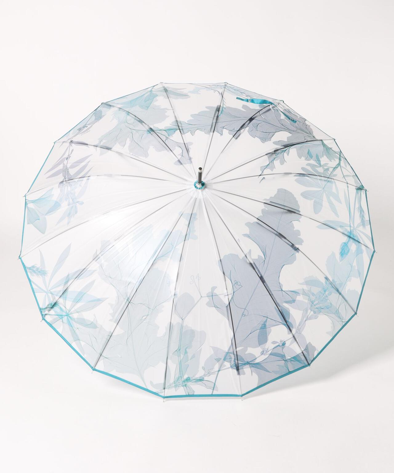 memorif. 花びらき 55cm