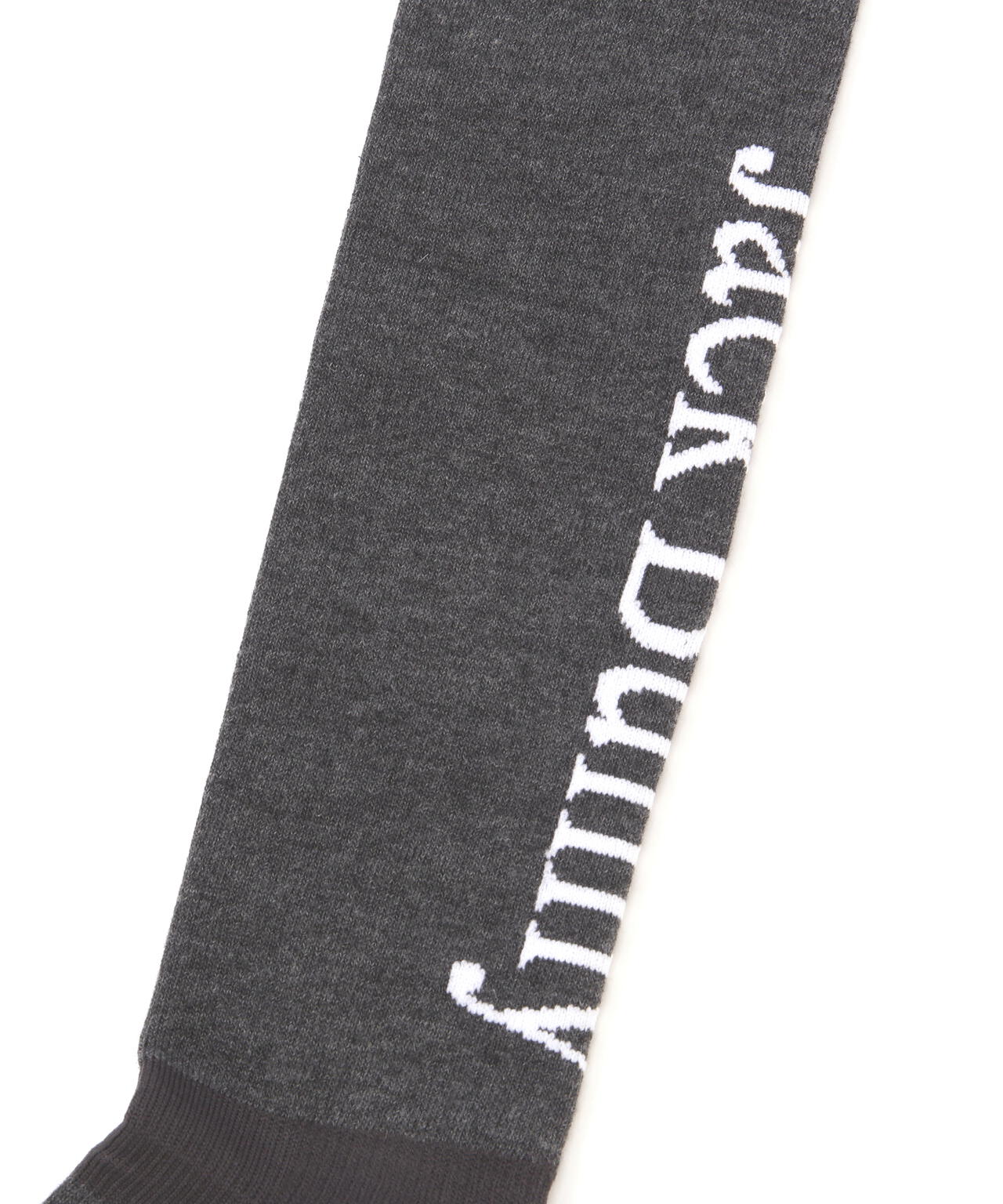 ロゴニーハイソックス (LADIES)