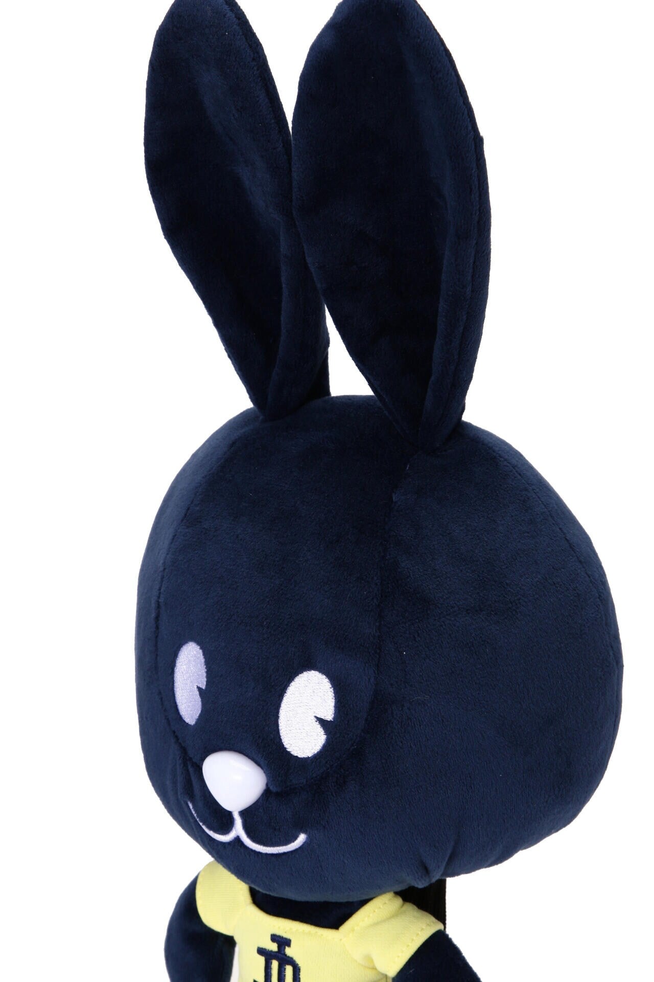 38a55eda-22a5-5892-a9bc-245eeacc439e_Image