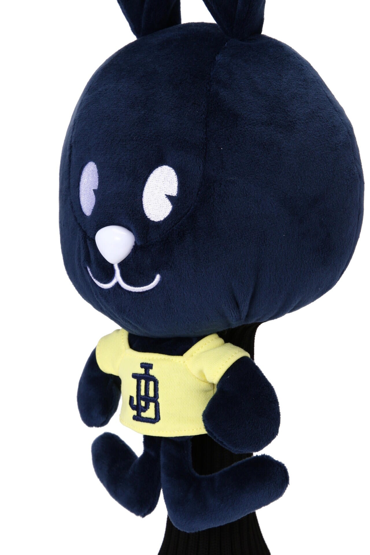 36820d47-684a-5933-ad96-1f62a0c9f564_Image