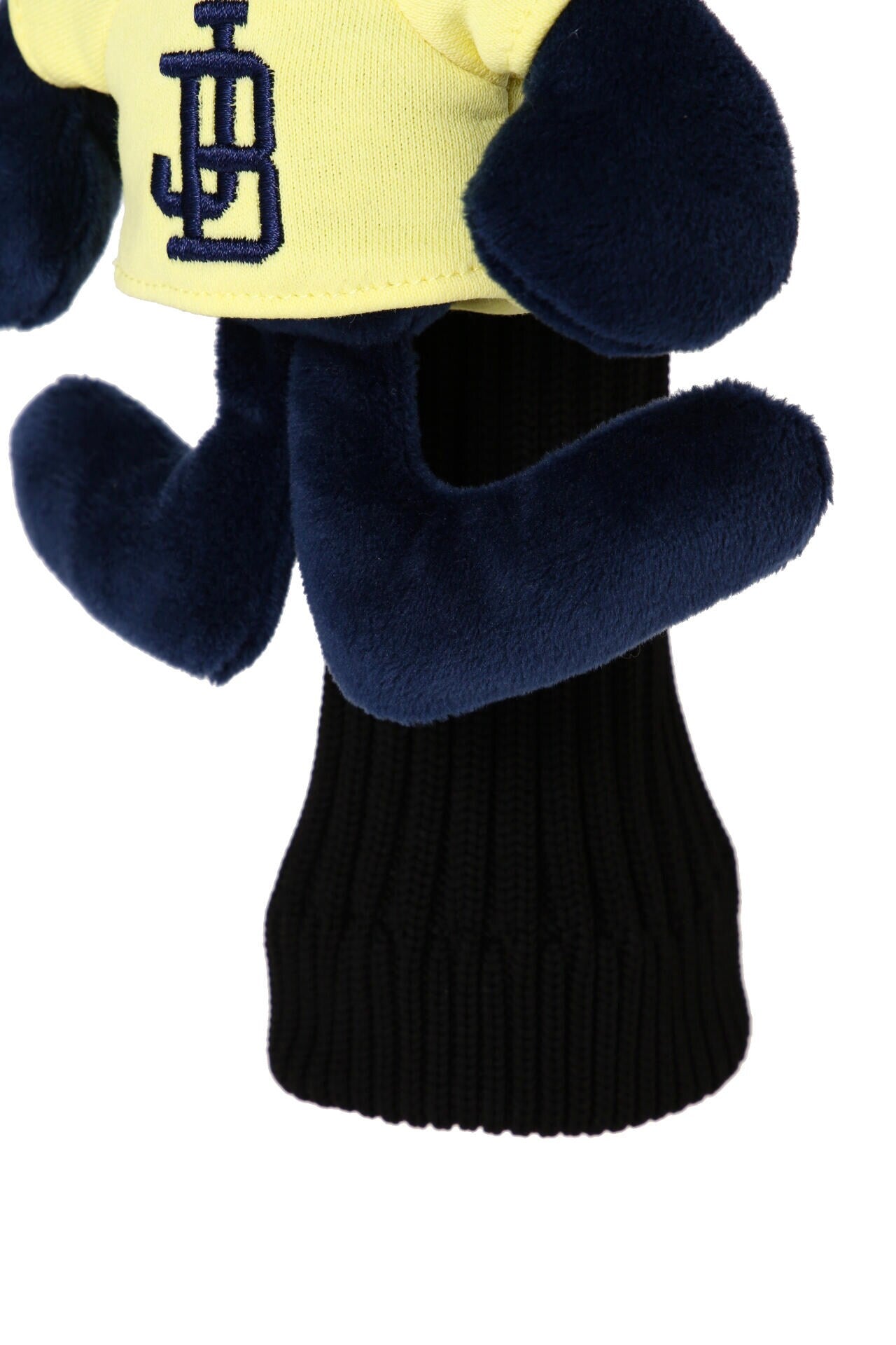 6cfc18a6-54d7-5884-822a-9badd882c067_Image