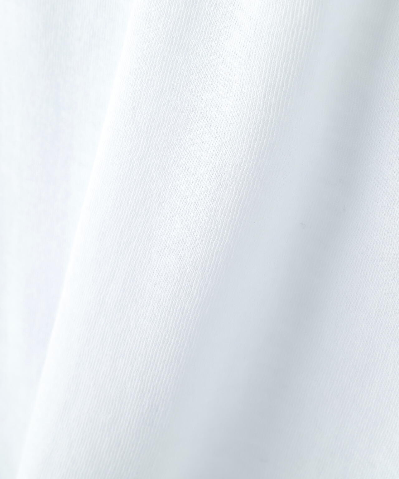 シアーフライストップス