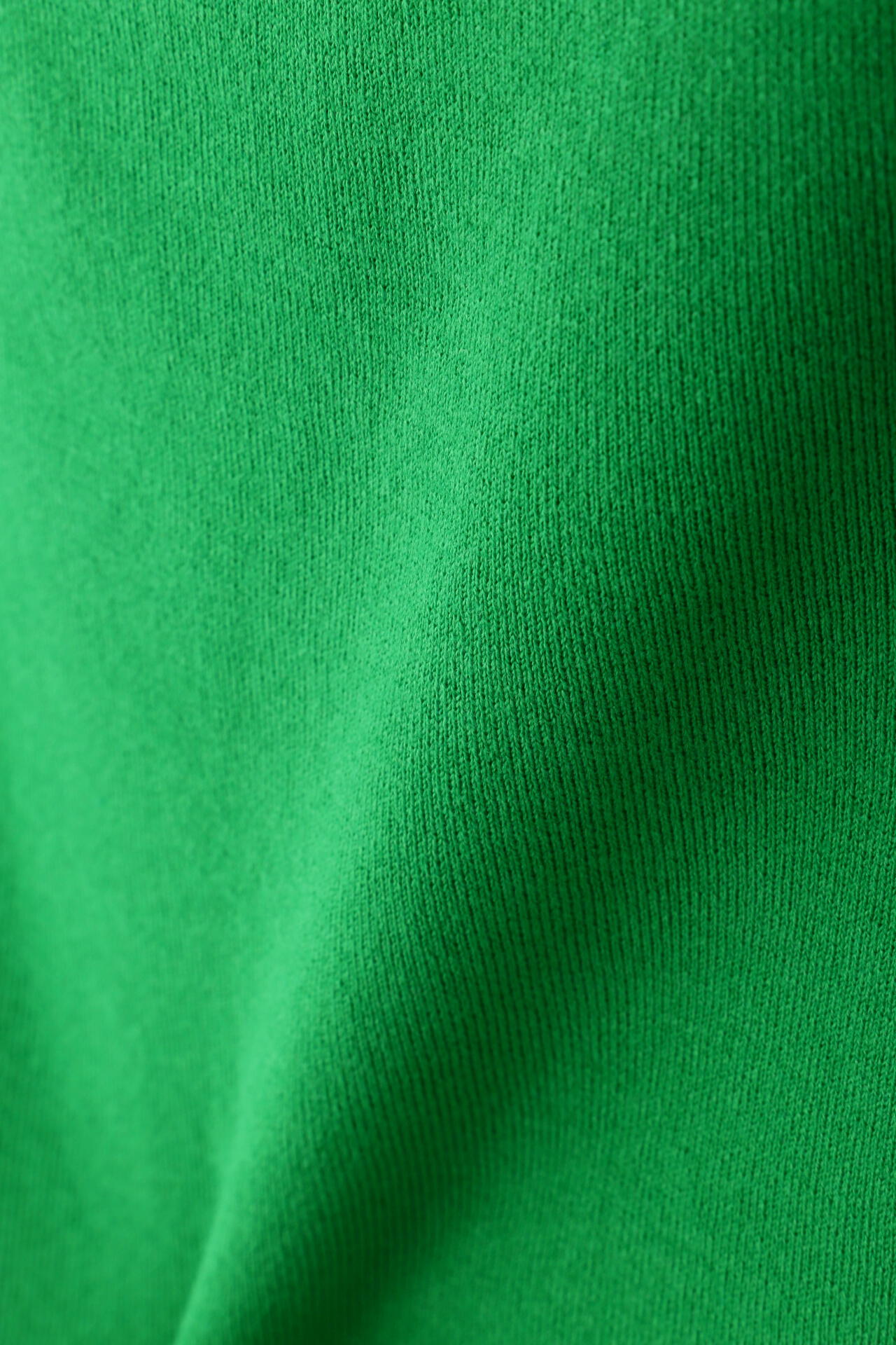 75b3c7c6-ca8d-507c-a075-3ce08fc906a4_Image