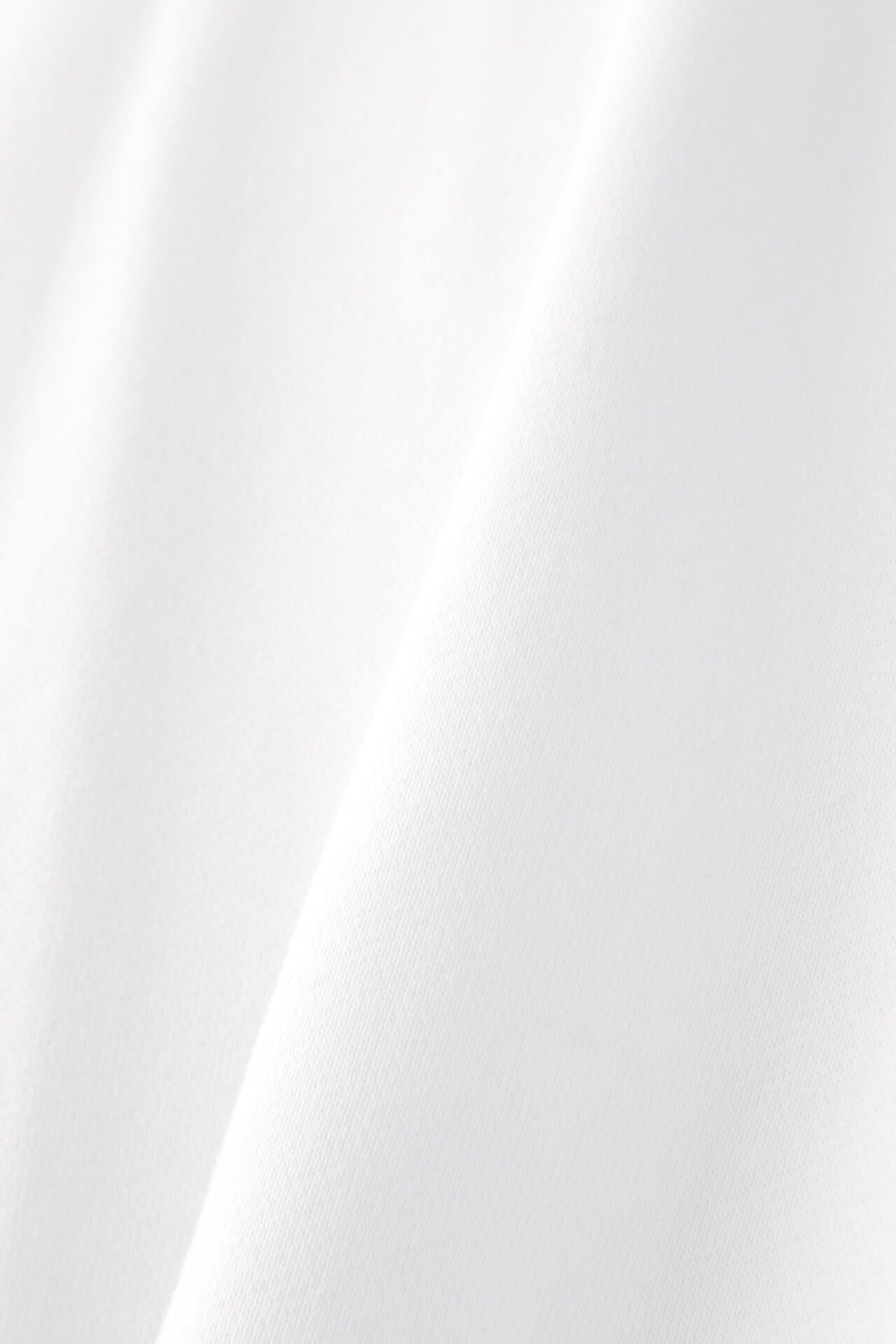 a7491e91-964e-5744-bb4c-9ab531382598_Image