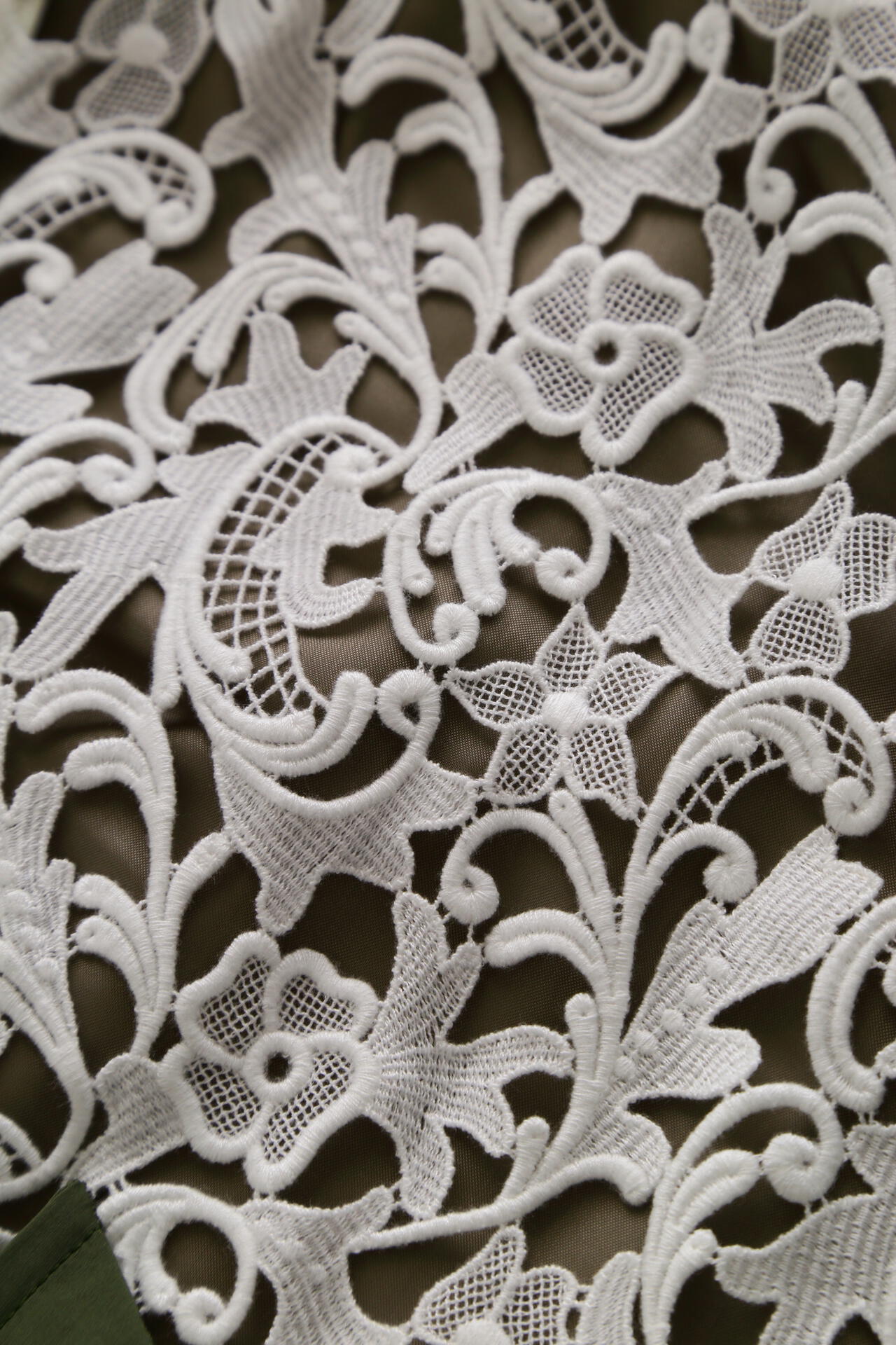 a43db7c8-fc98-5660-b481-a813de426e22_Image