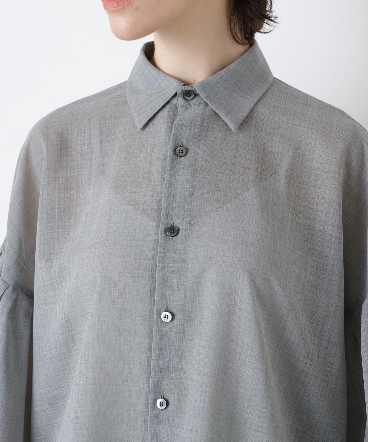 Sheer Volume Sleeve Shirt