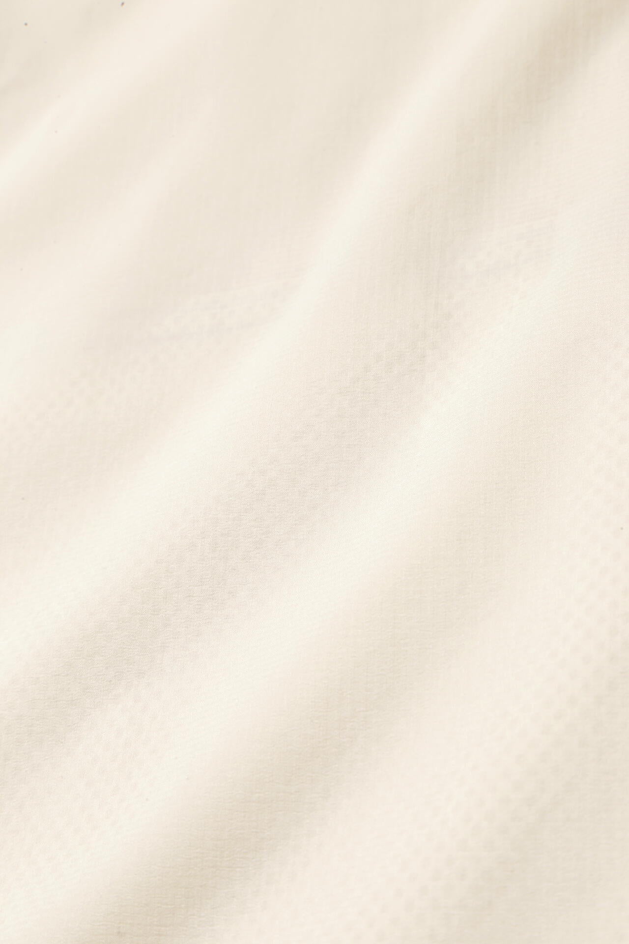 8b6a2f97-f731-561d-8ced-4e57f7b20b99_Image