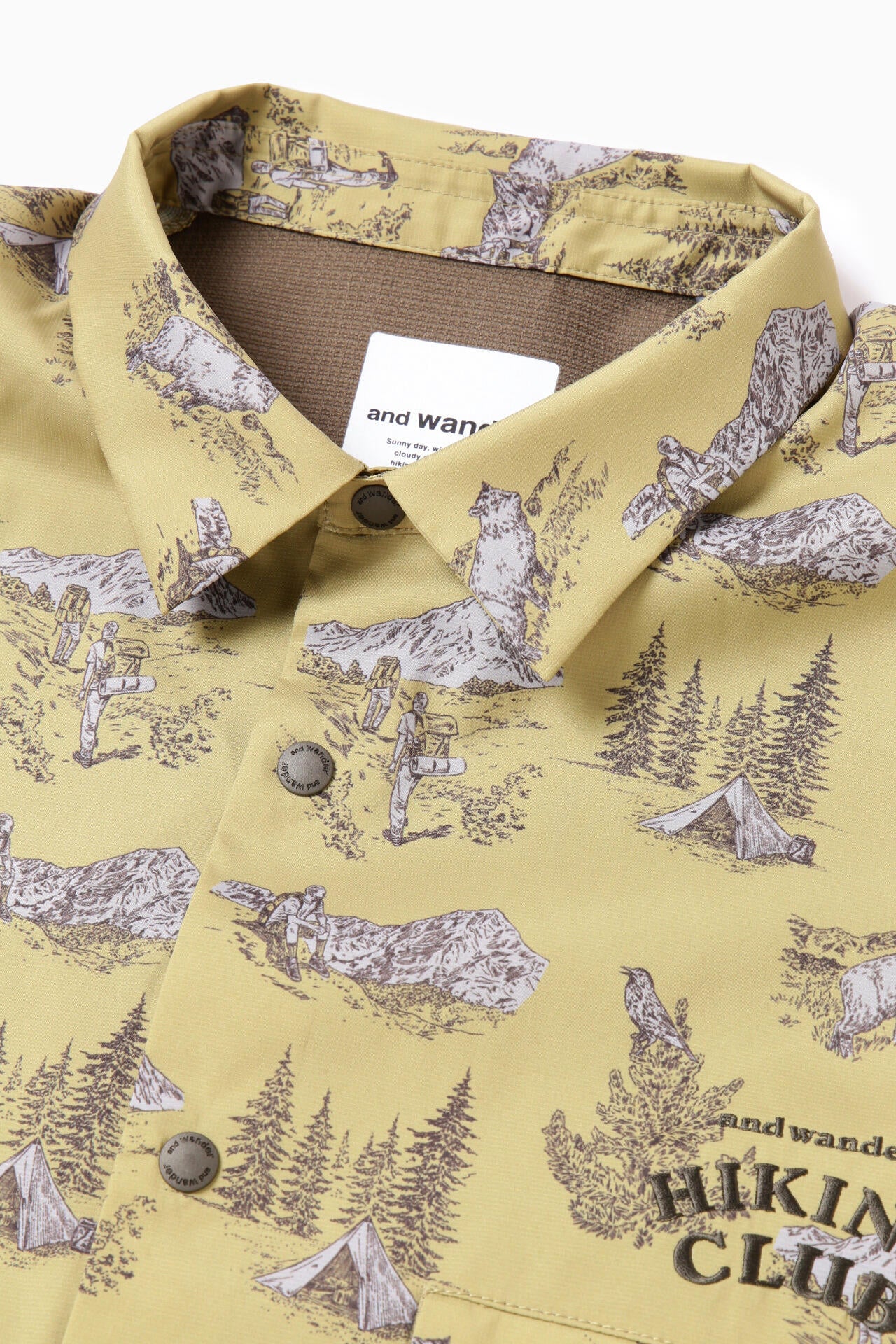 d60ce76e-87a2-51cc-81f6-4fcafe81ae3e_Image