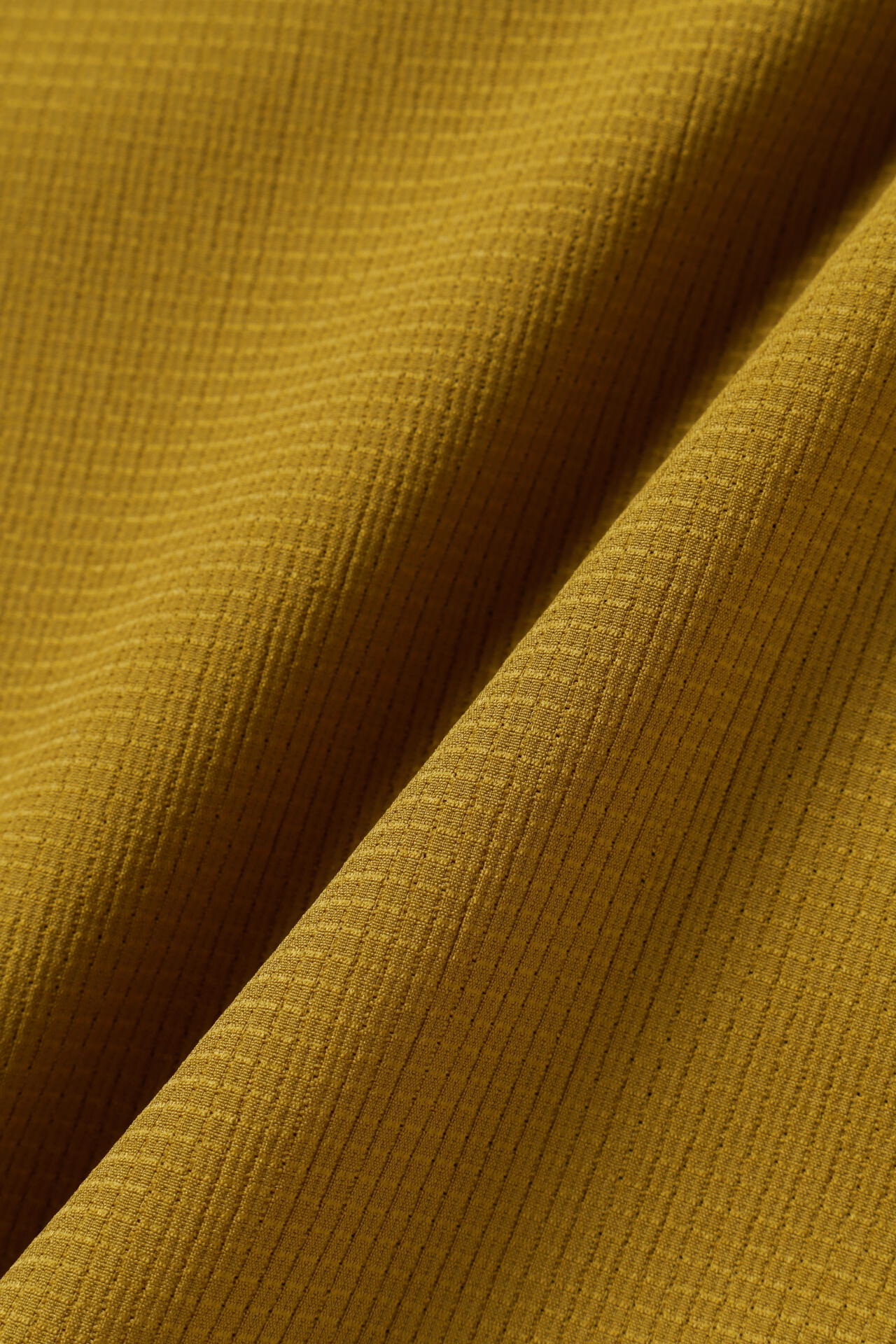 427aede4-8455-5db9-ab5e-a7d5ff3a3239_Image