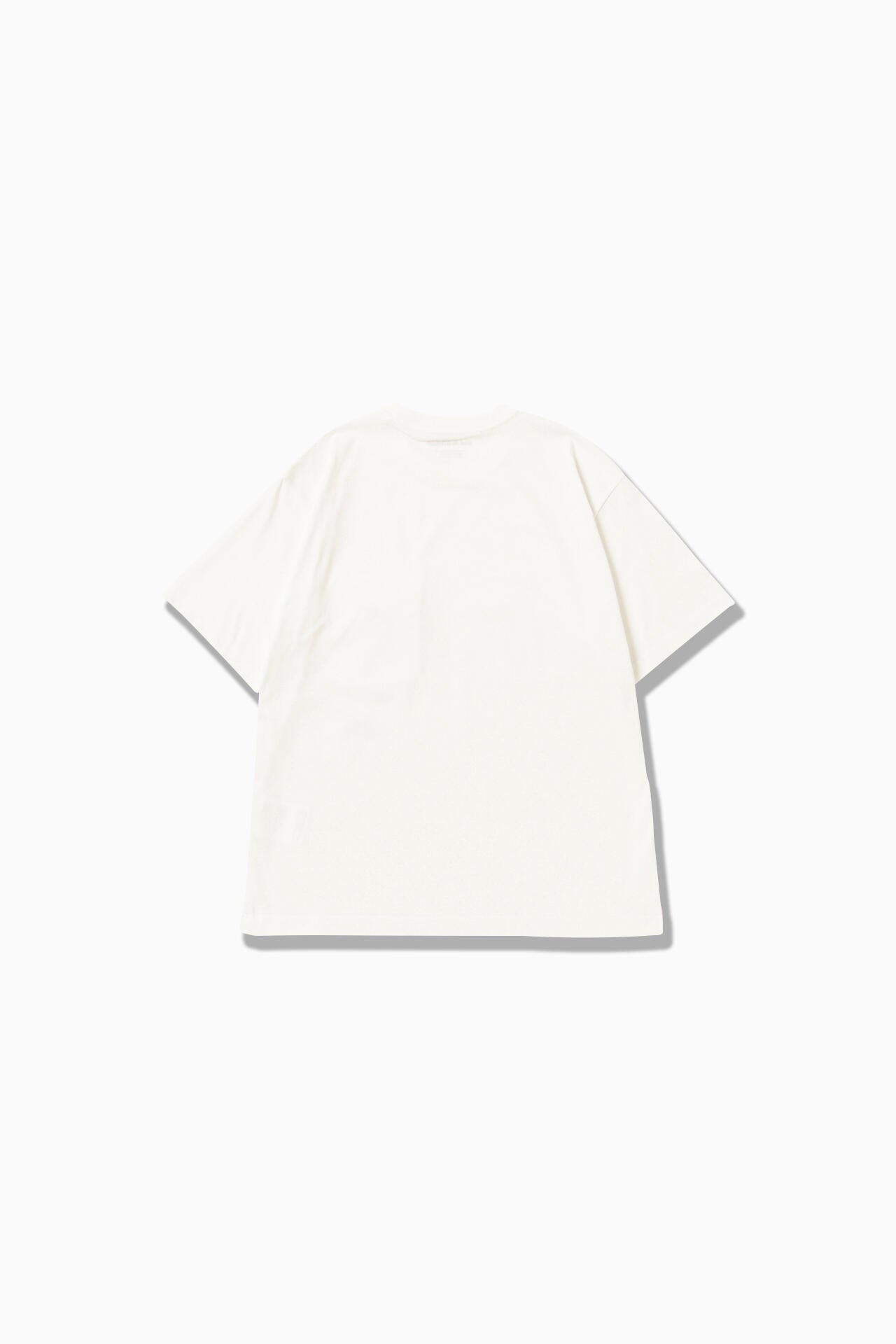 8833dd59-6f07-566c-b260-7c5547154b89_Image