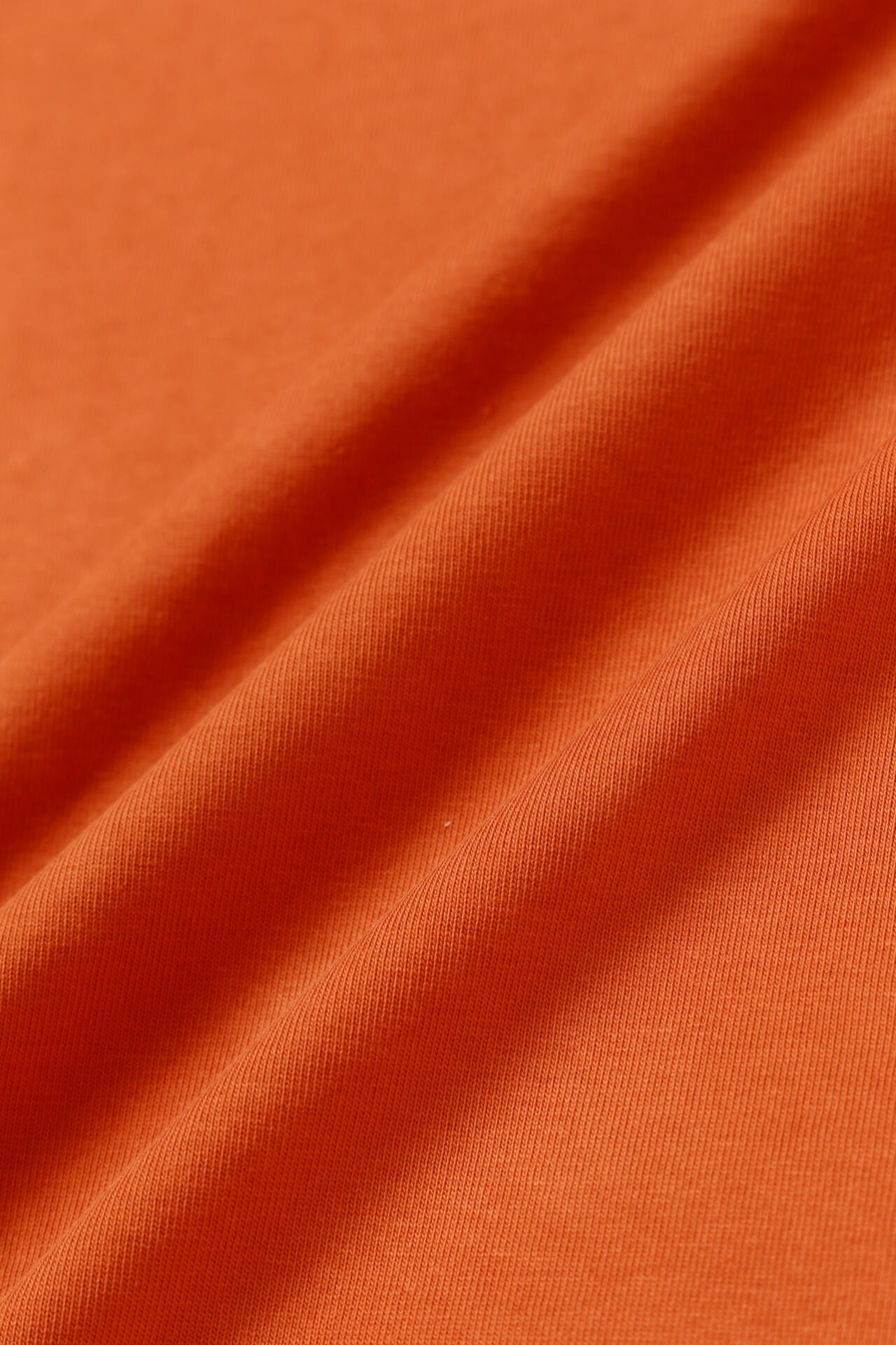 2b9c19fb-5bf4-529b-94b1-b9f5436ff8b9_Image