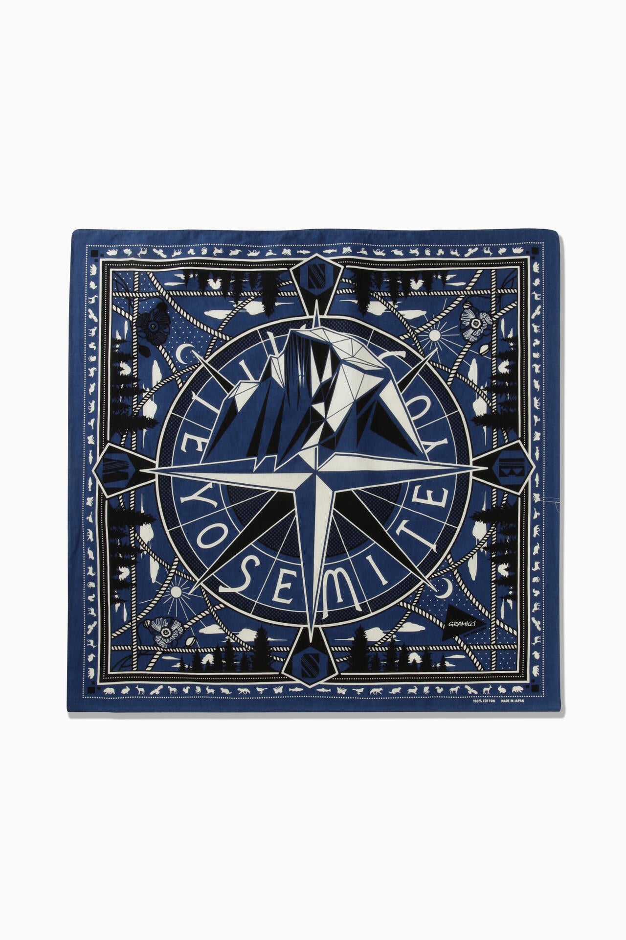 f9acd468-703e-5bc4-aa34-b607ca462373_Image