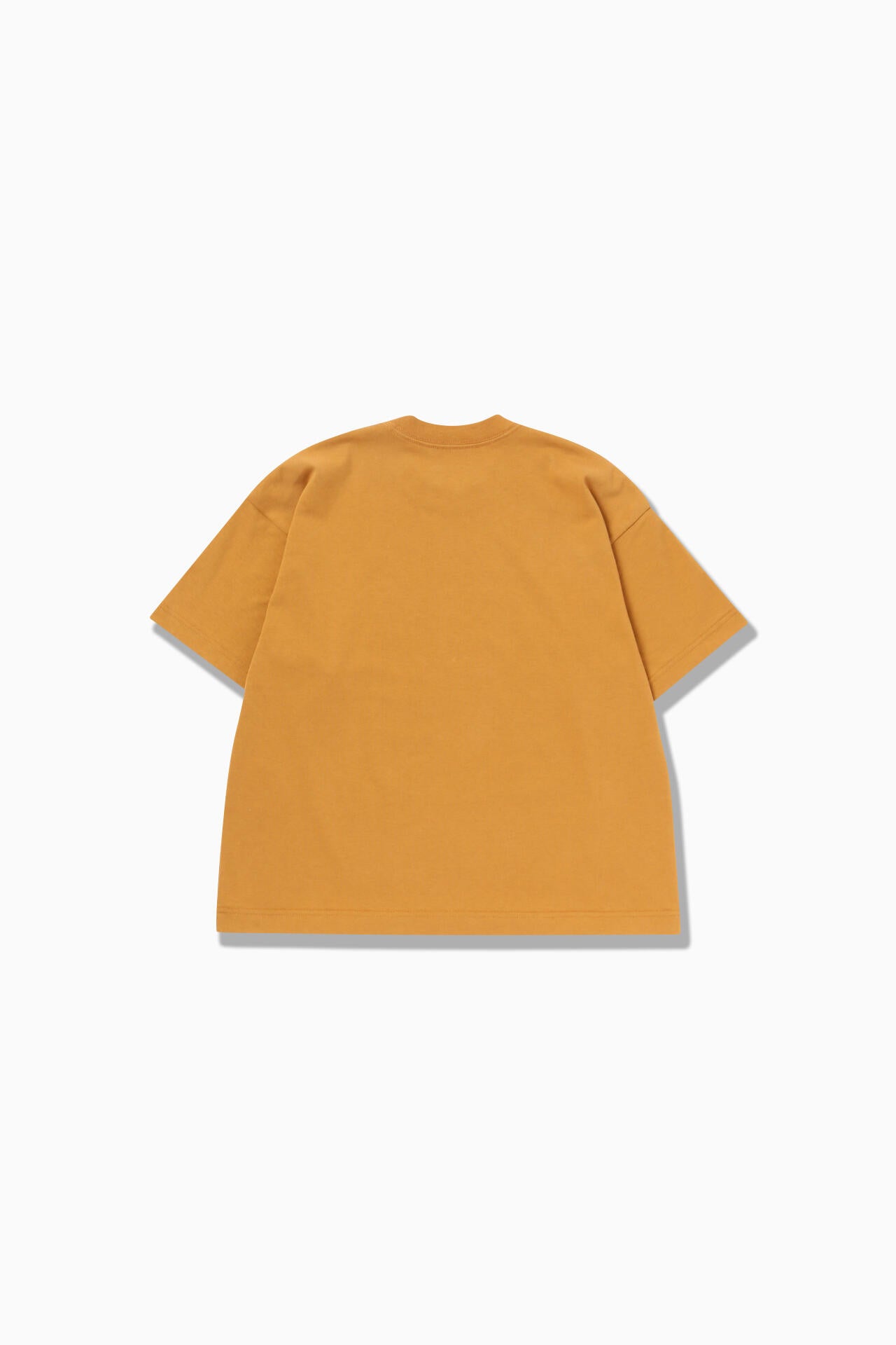 4d55e810-8add-5fcb-b216-59a1b0d07352_Image