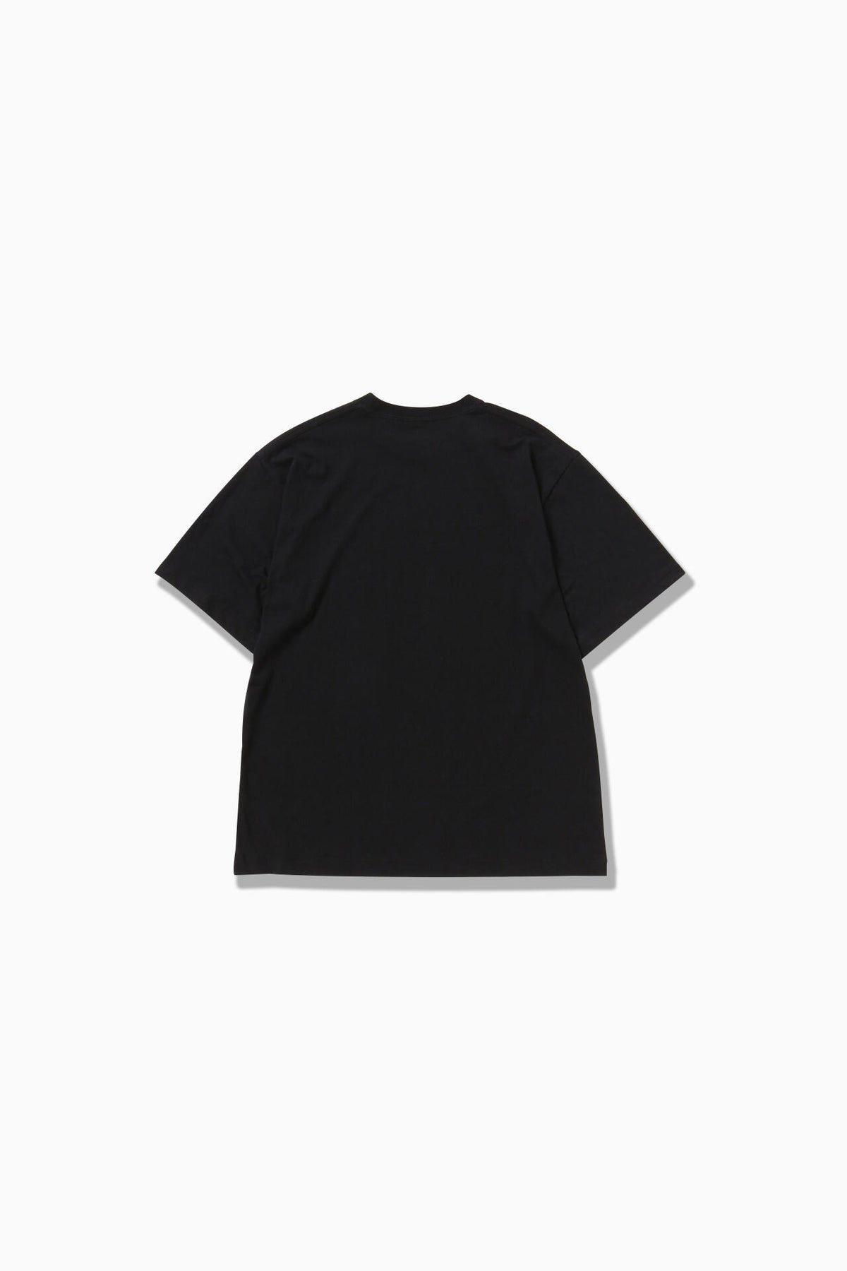 WANDERING printed T | コットン ポリエステル プレーティング天竺 ロゴプリントTシャツ