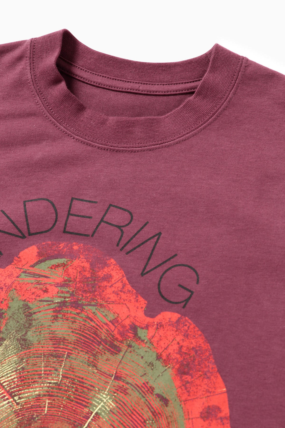 WANDERING printed T | コットン ポリエステル プレーティング天竺 ロゴプリントTシャツ