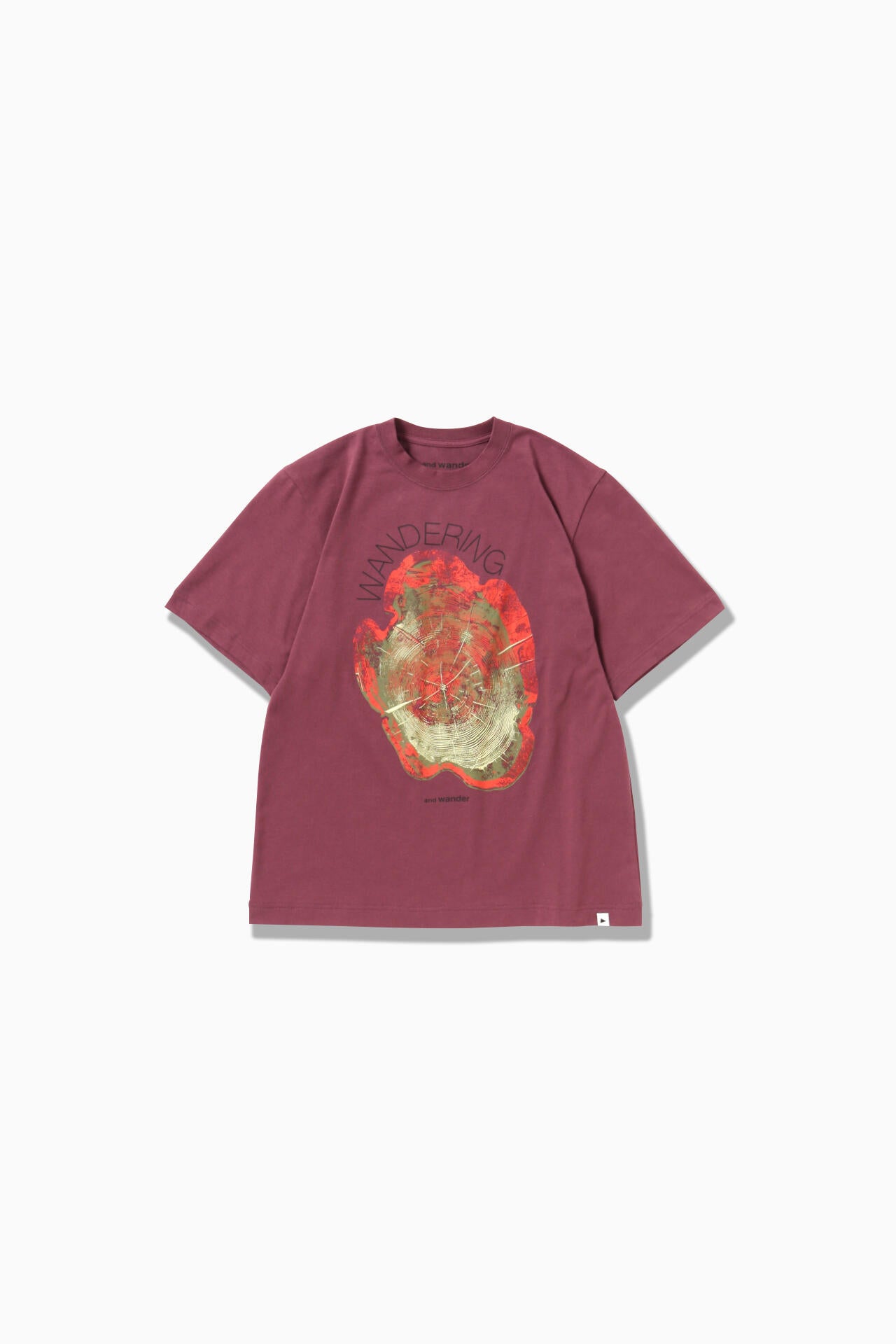 WANDERING printed T | コットン ポリエステル プレーティング天竺 ロゴプリントTシャツ