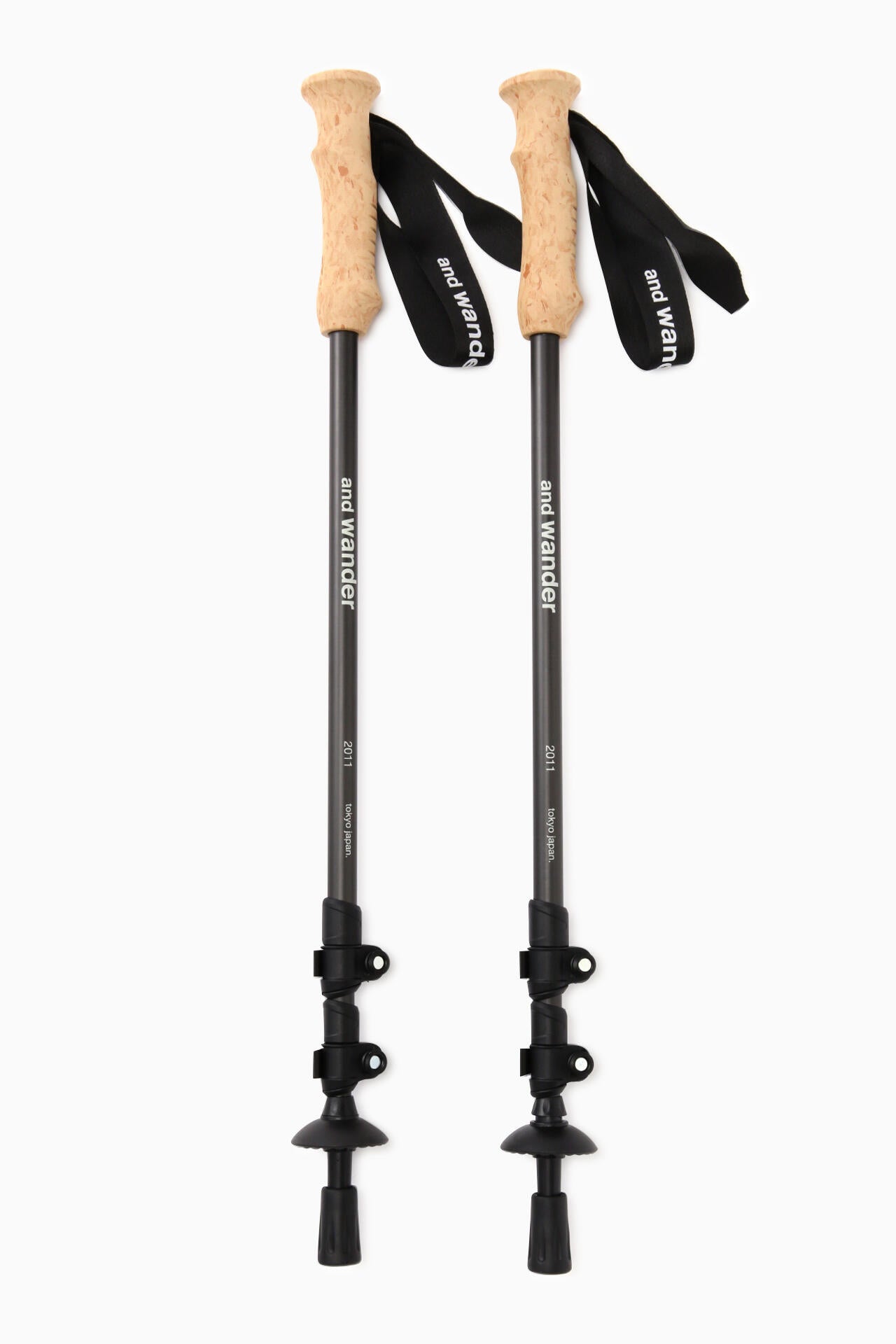 carbon trekking pole