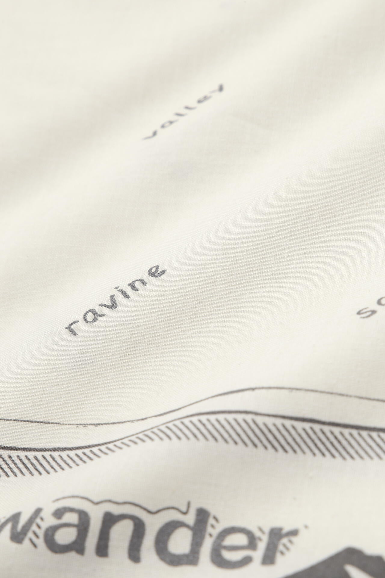 53fdc74a-764b-582d-89c8-4ed68ade9615_Image