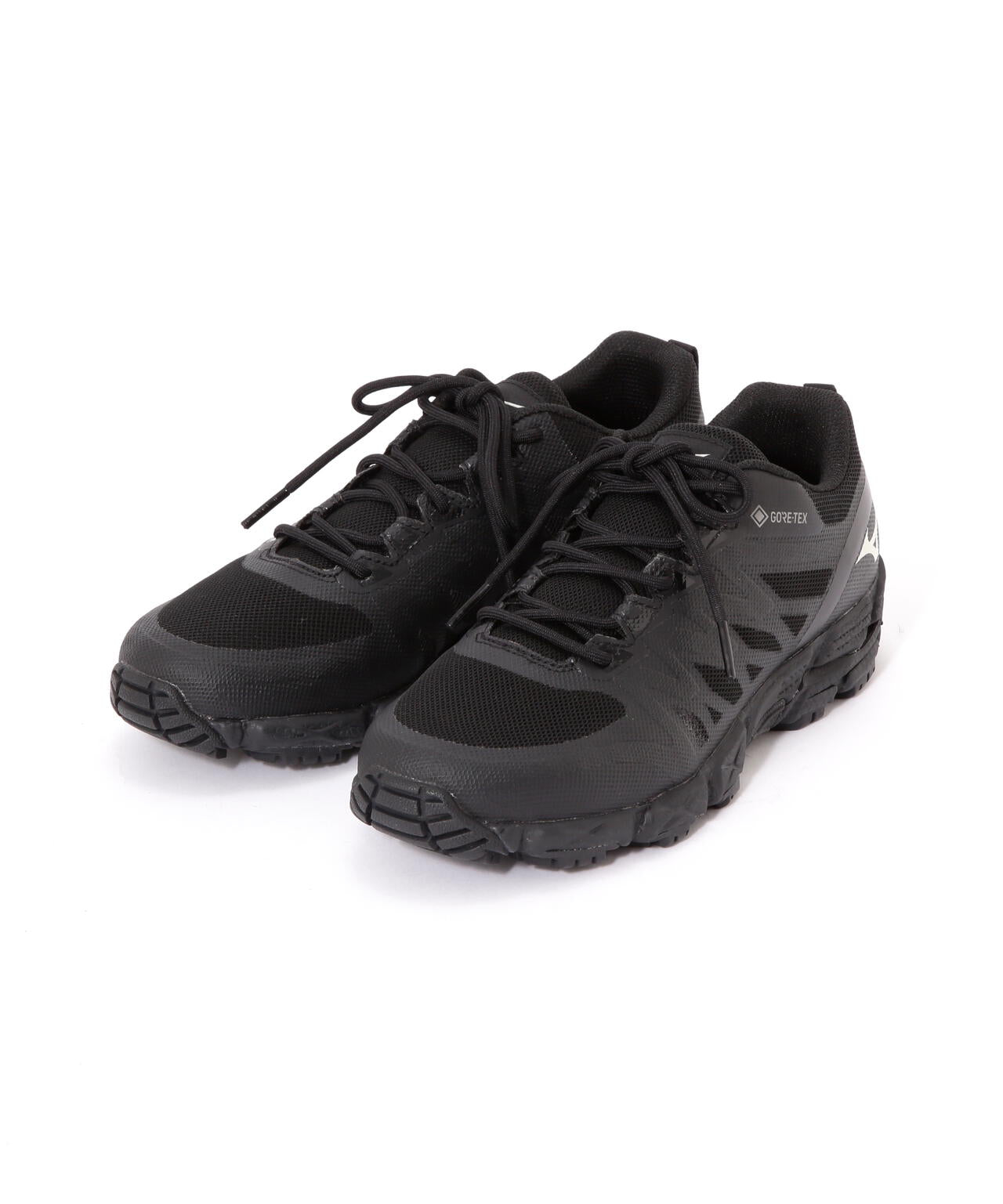 V2 Gore-Tex HIKING SHOES