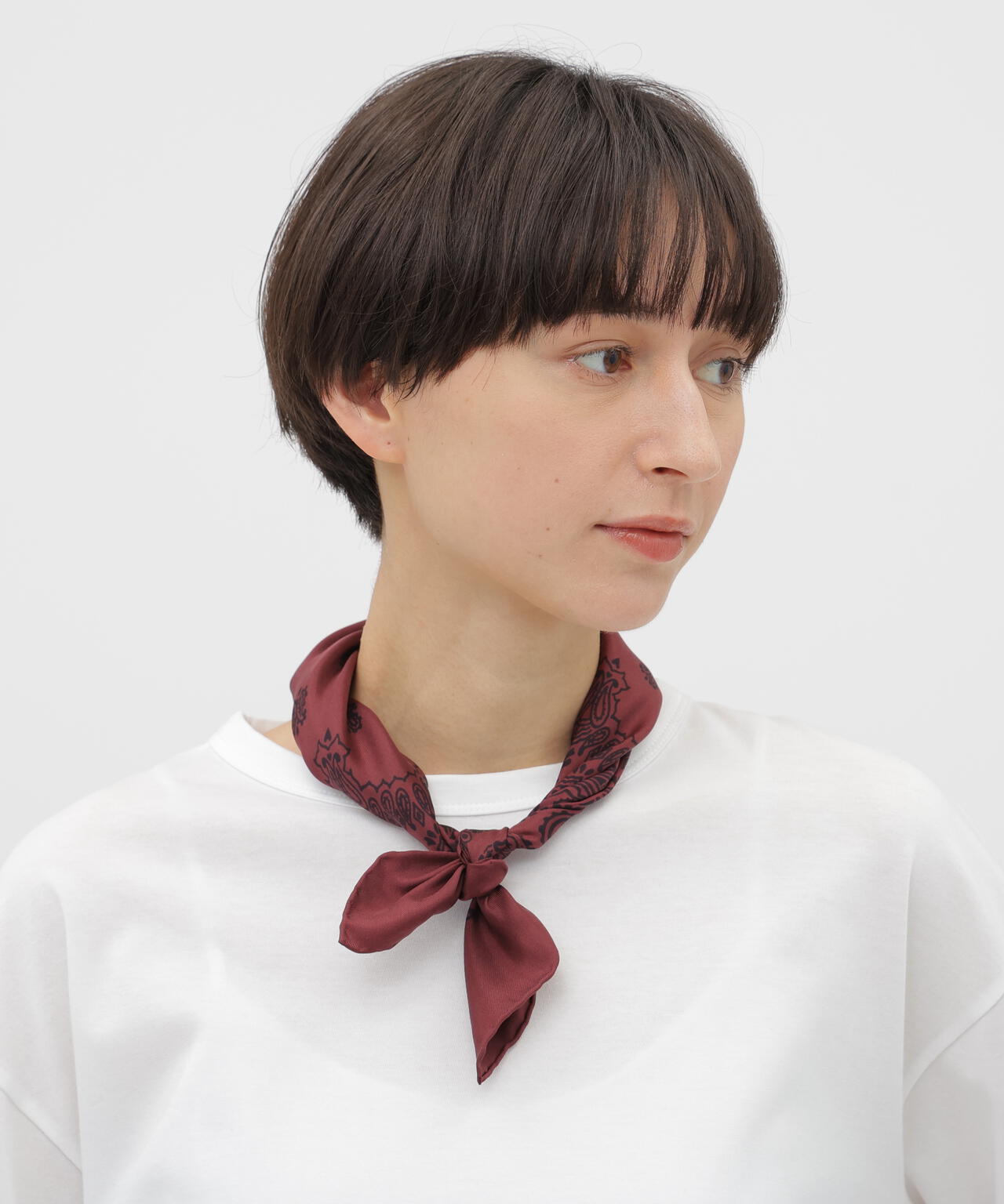 SILK TWILL PAISLEY SCARF