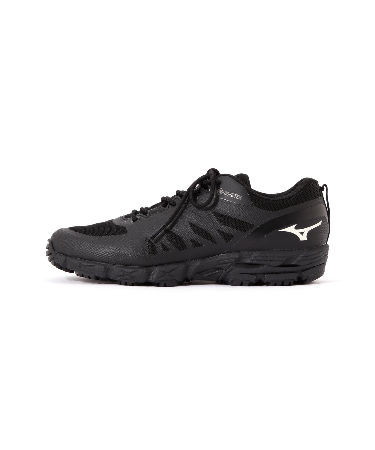 V2 Gore-Tex HIKING SHOES