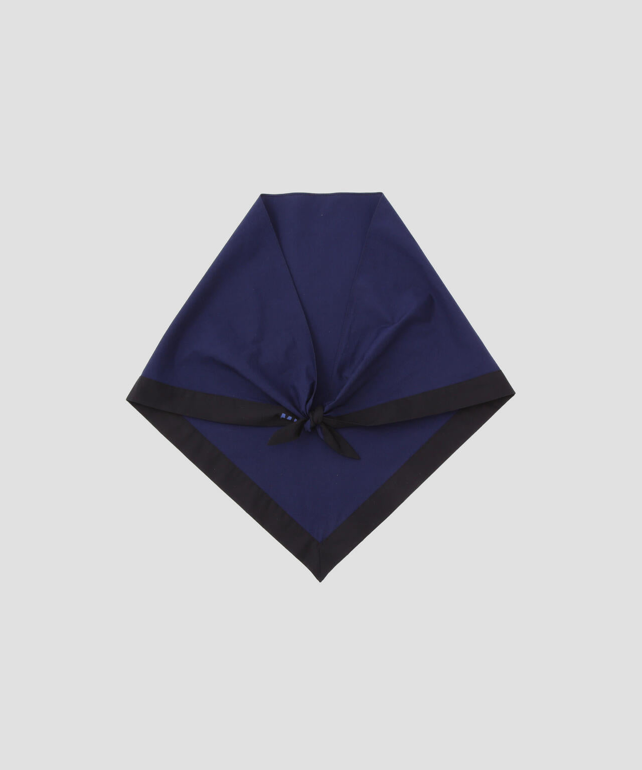 466f23d4-4d73-5973-b63e-141a5f47a695_Image