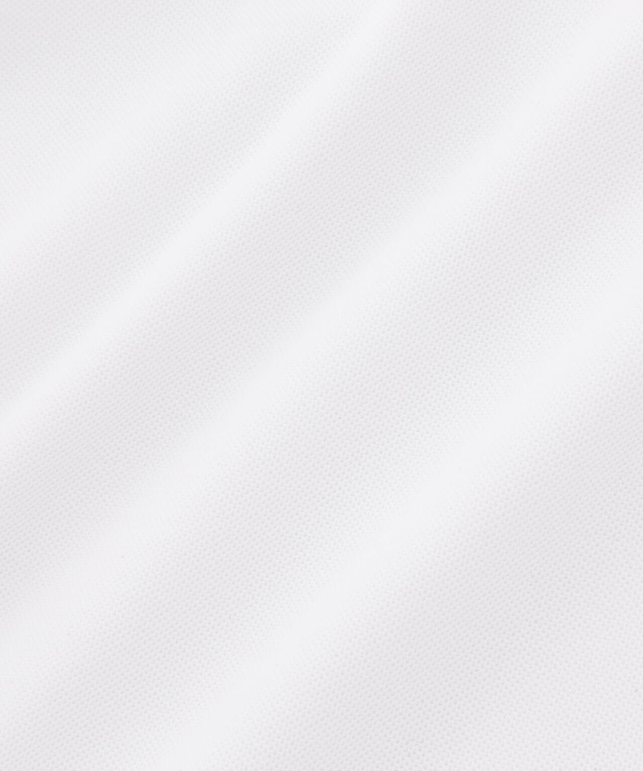 3940daa2-c708-5145-a77b-1c3483659e11_Image