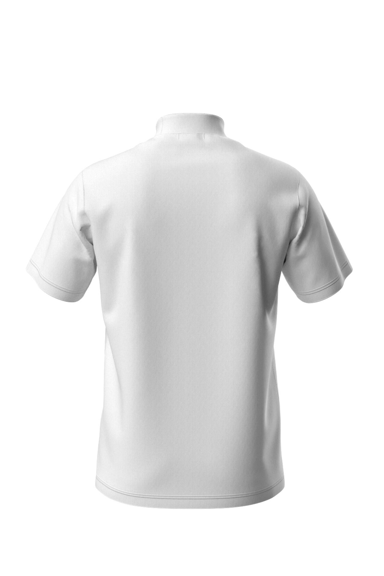 【PING APPAREL】ダブルメッシ半袖ハイネックカットソー <EARLY SPRING> (MENS)
