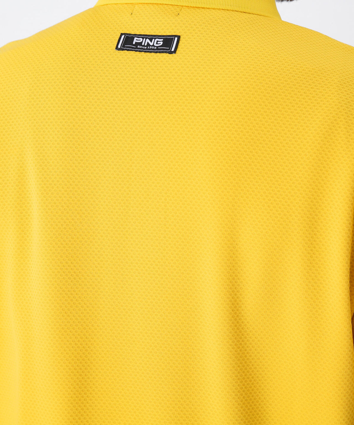 【PING APPAREL】鬼カノコレイヤードツインセット <NATIVE> (MENS)