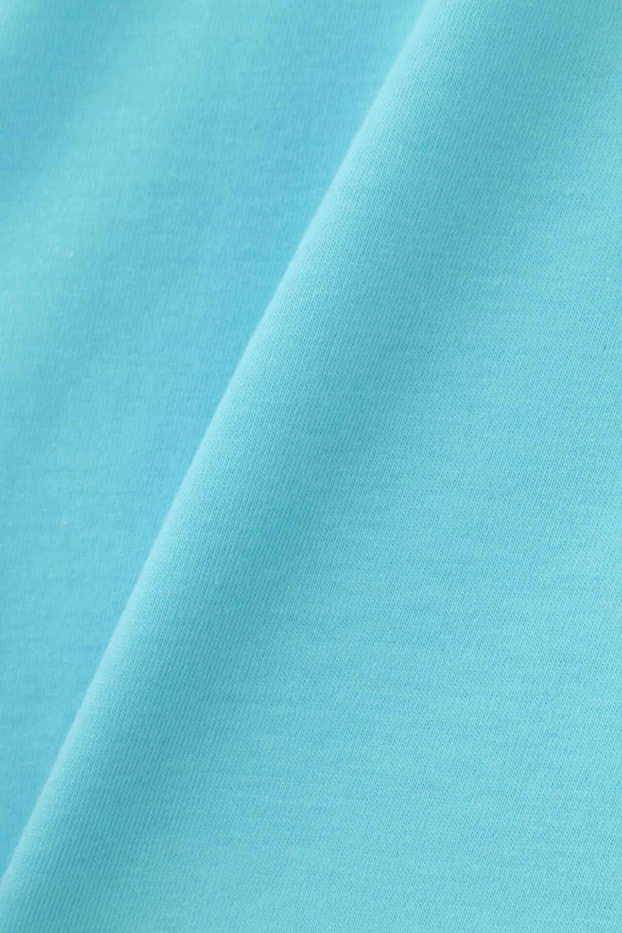 【PING APPAREL】綿ポリエステル天竺 ビッグシルエット 10色 半袖ハイネックカットソー <NATIVE> (LADIES)