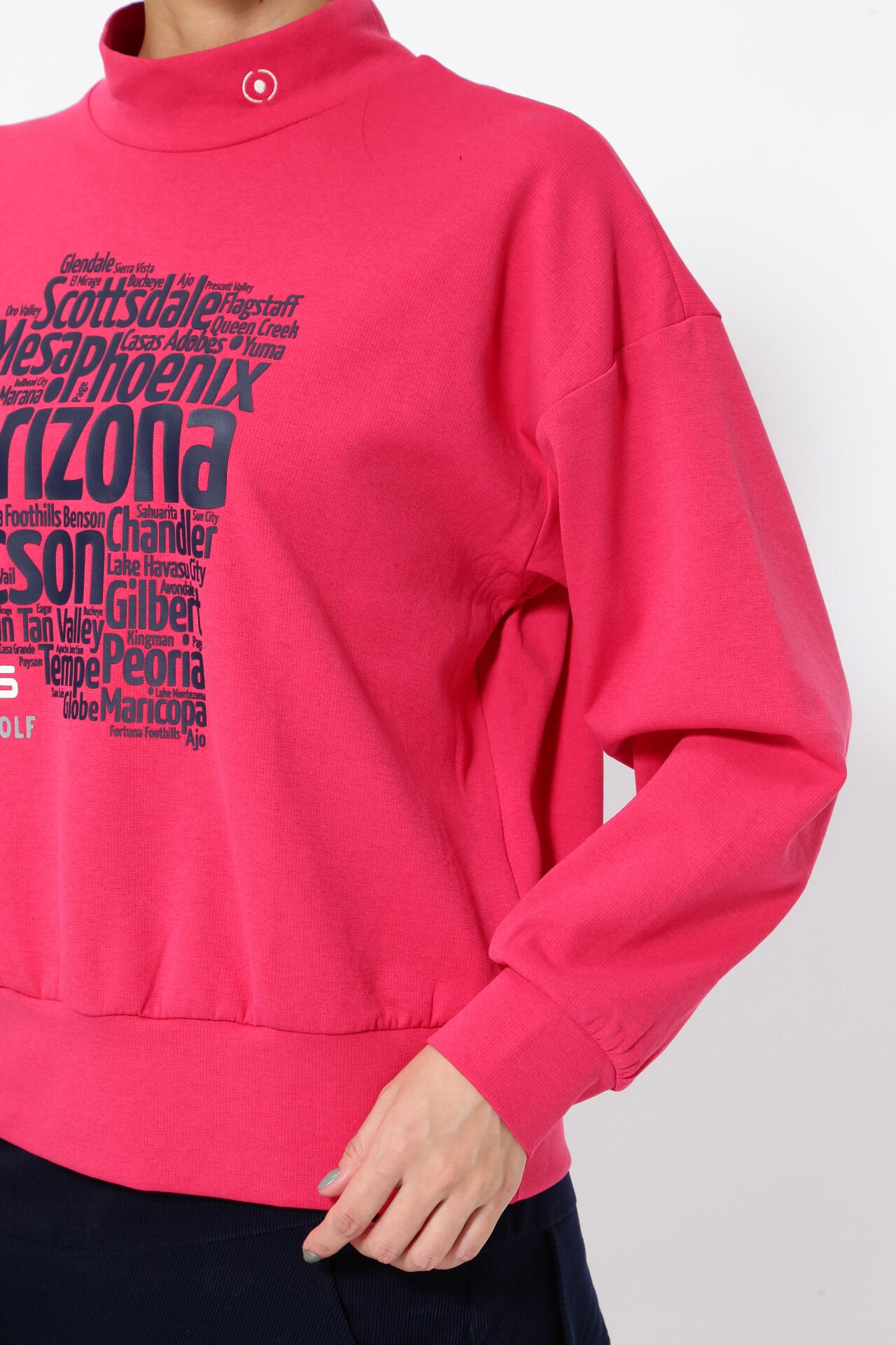 【PING APPAREL】ダブルニット長袖ハイネックカットソー <NATIVE> (LADIES)