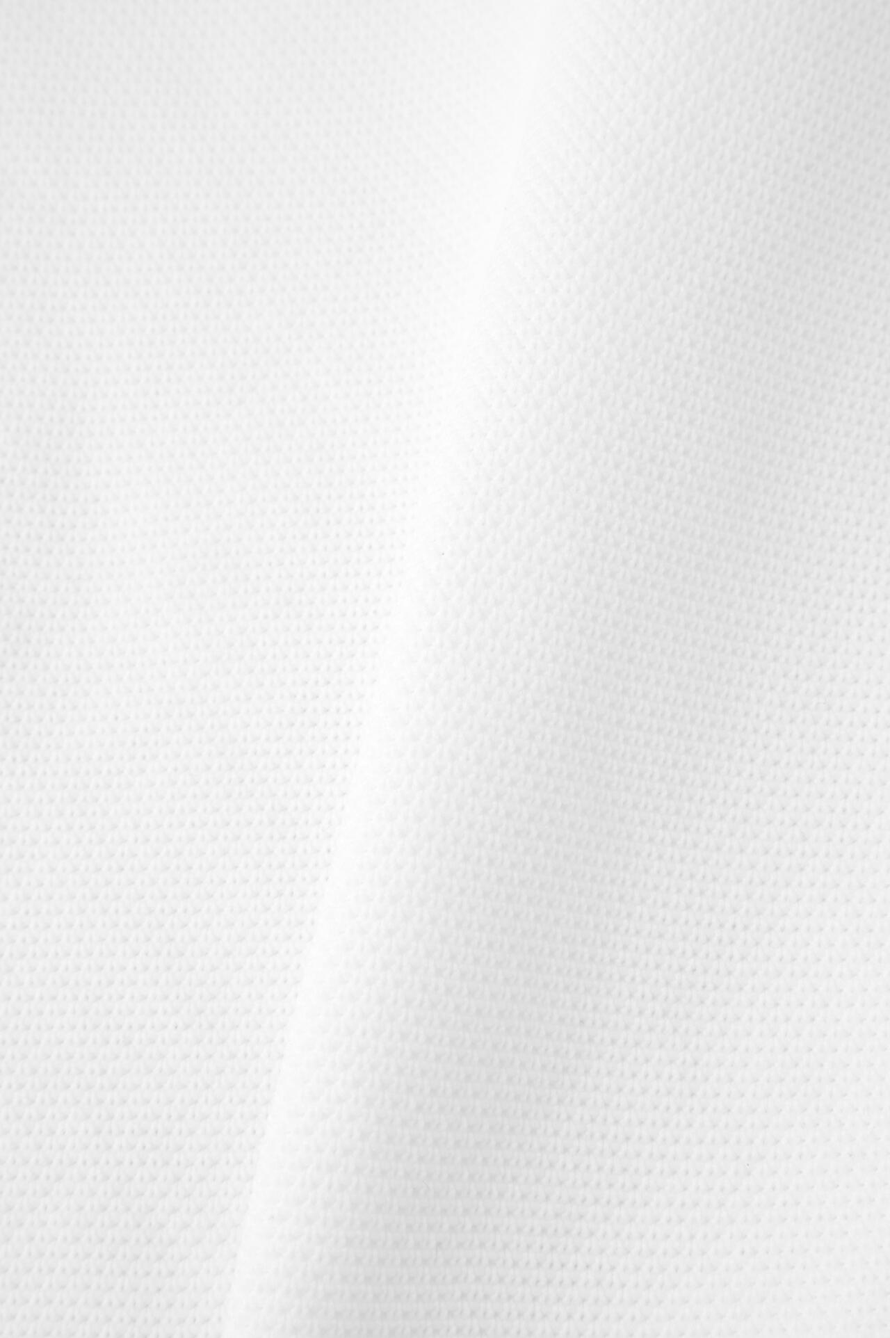 94a83122-621d-5a35-af57-4900345f0a12_Image