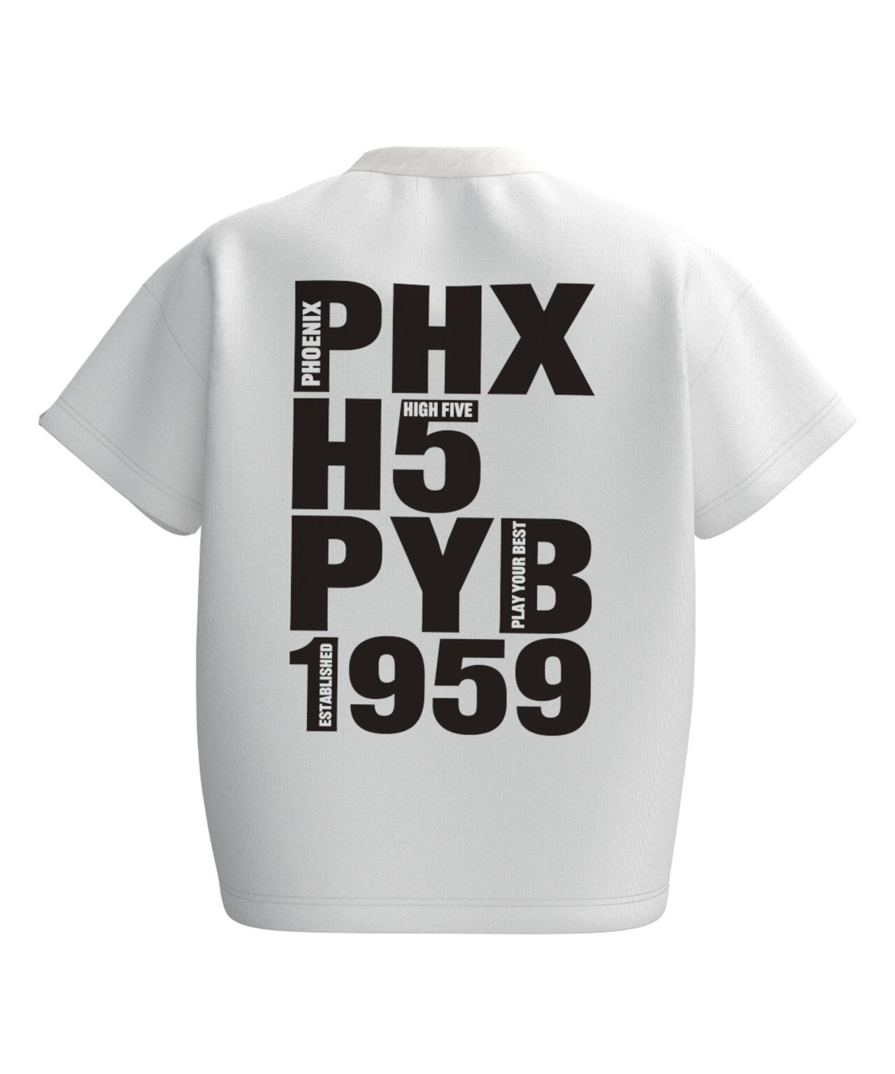 【PING APPAREL】TC天竺 半袖Tシャツ <LADIES LINE><NATIVE> (LADIES)
