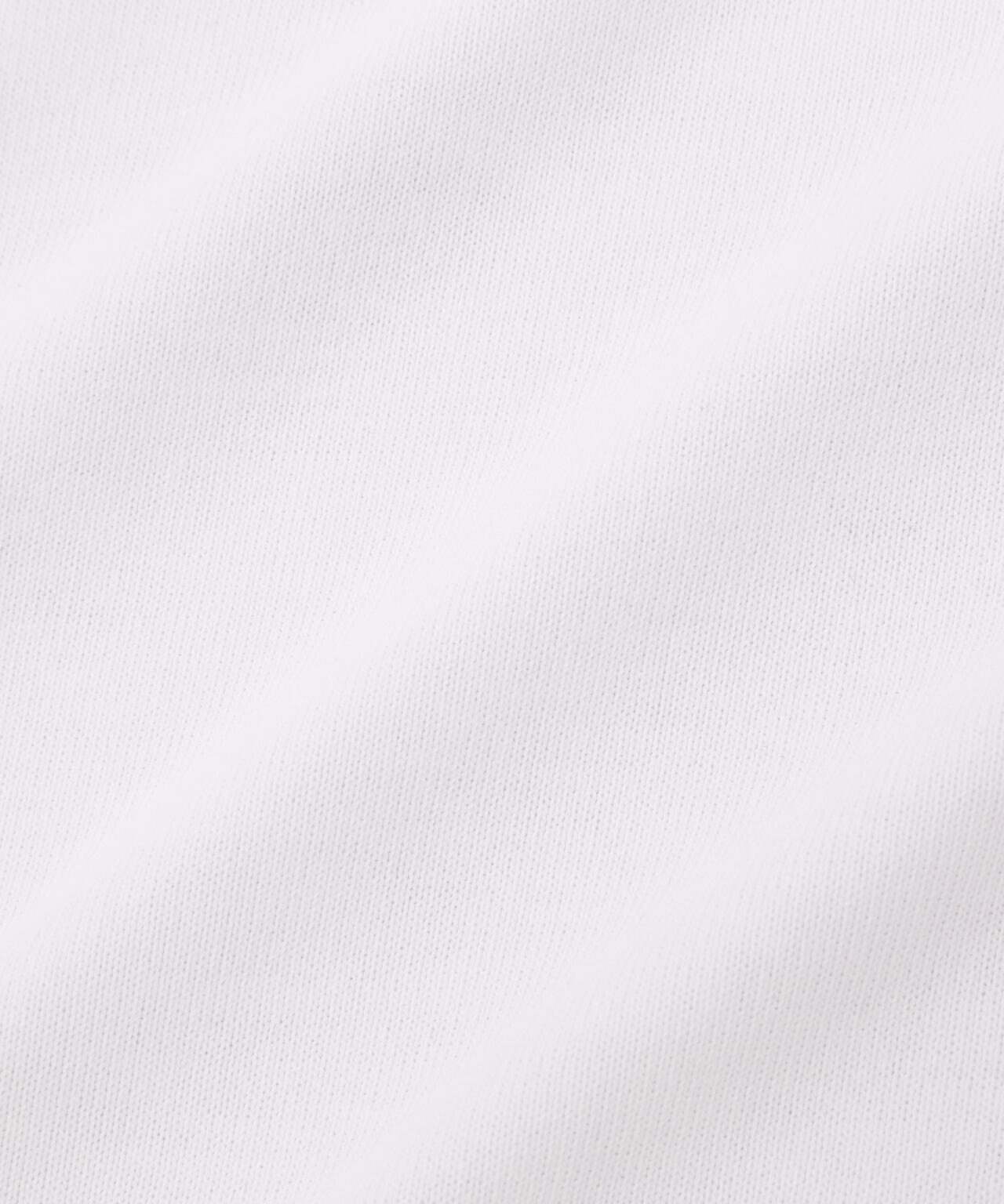 【PING APPAREL】引き揃え天竺ドライミックス長袖ハイネックカットソー <LADIES LINE> (LADIES)