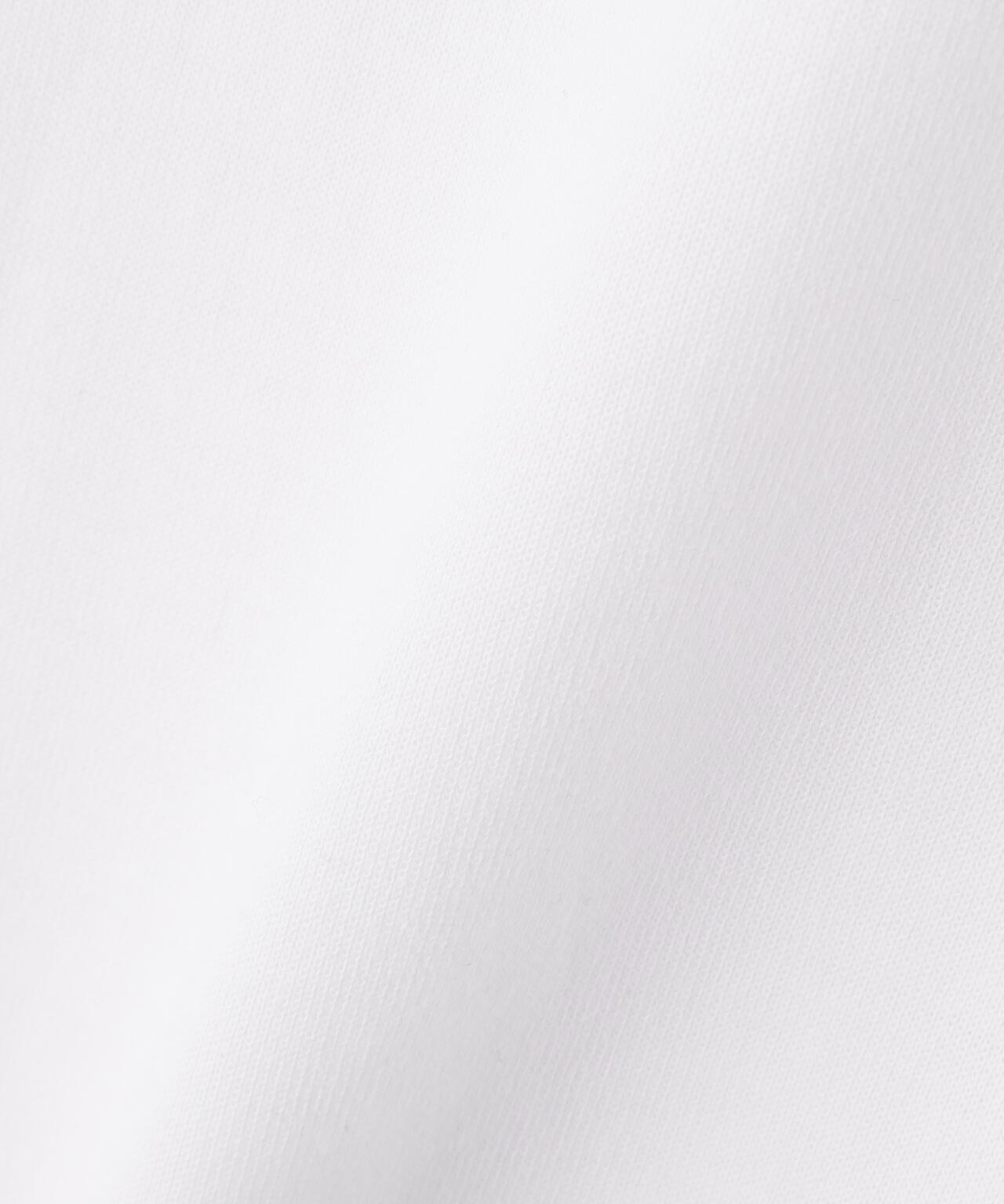 【PING APPAREL】全方向ストレッチダブルフェイスドライミックスアイストーンハーフジップカットソー<NATIVE> (LADIES)