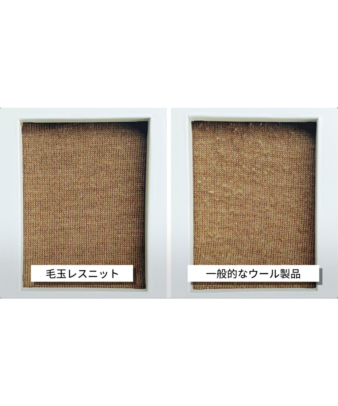 02fb5015-9ac7-52fa-8e16-9e8121027a76_Image