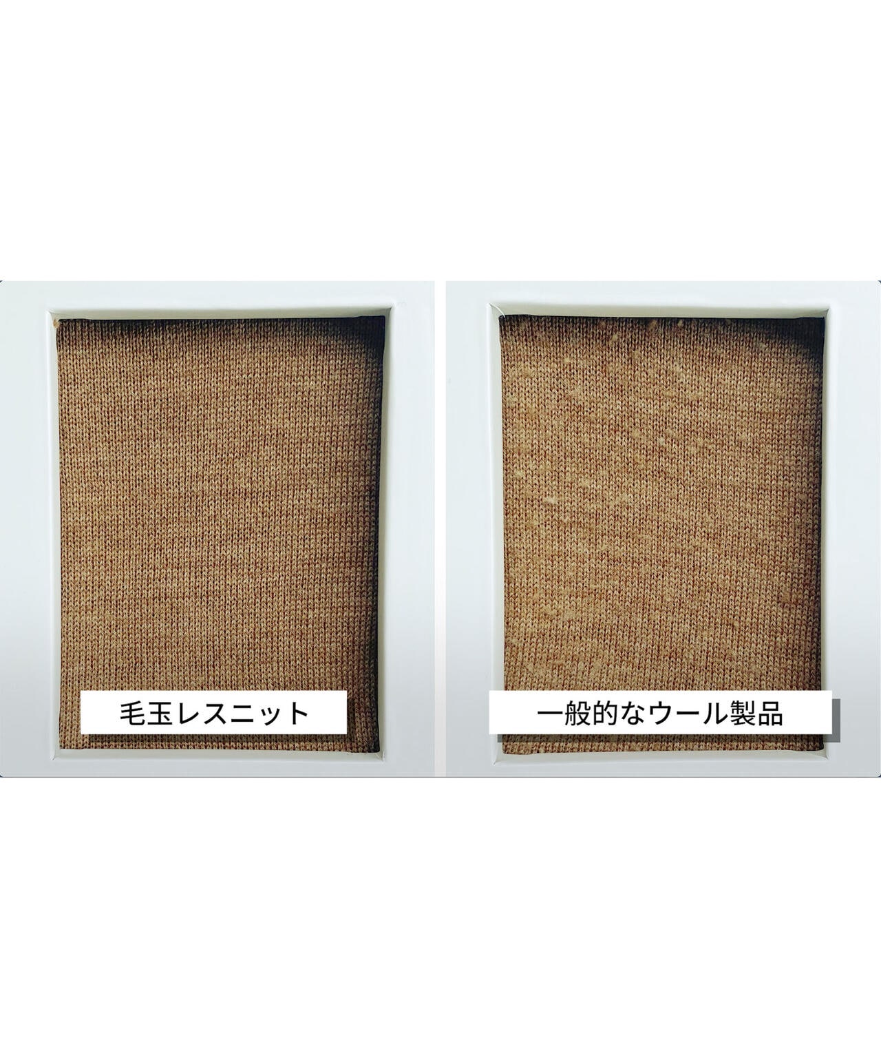 3d132599-90ab-5b36-b1d9-b556156d7b0e_Image