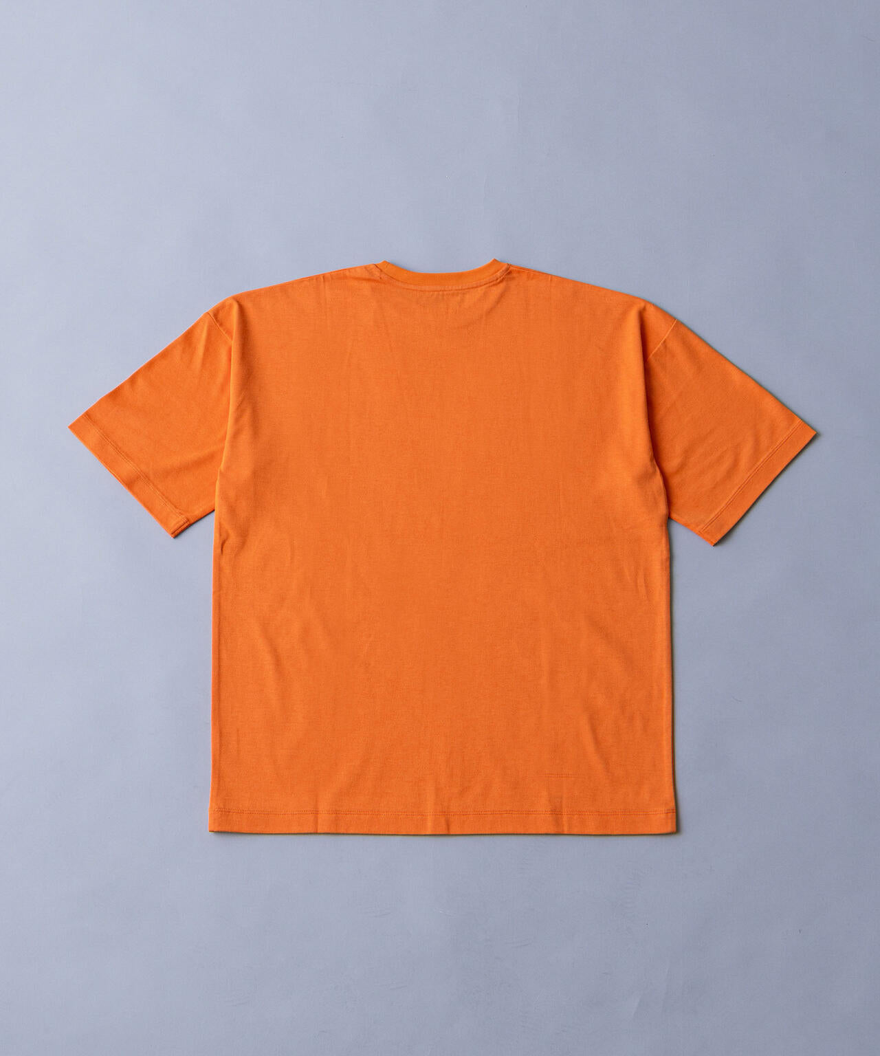 a61797d0-ee84-5288-91ef-9d83d5b5d1b4_Image