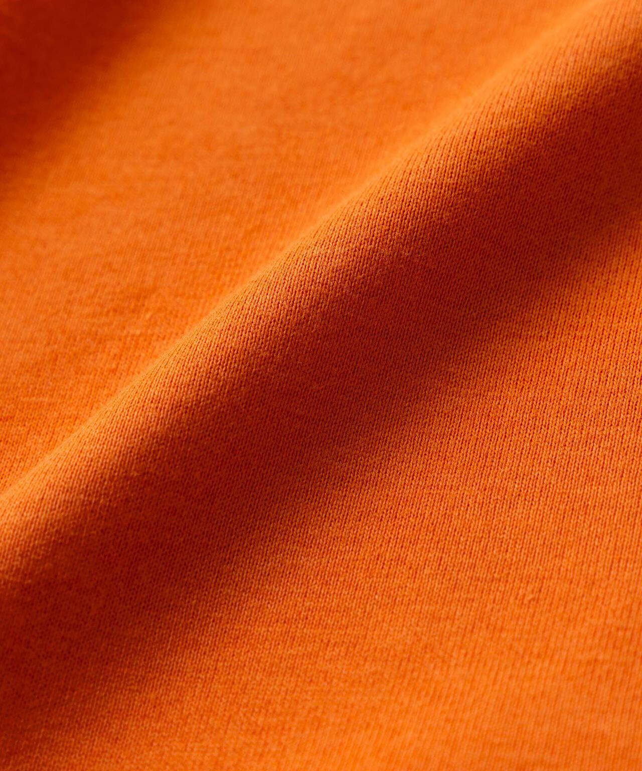 721e538b-edcb-5f0a-9b9e-bed30e3ee874_Image