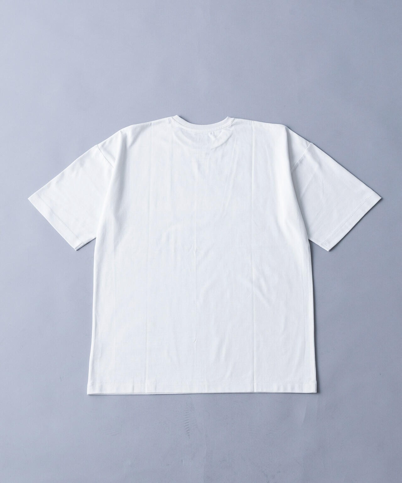 02f550be-7329-5586-8468-7dae2d63c37c_Image