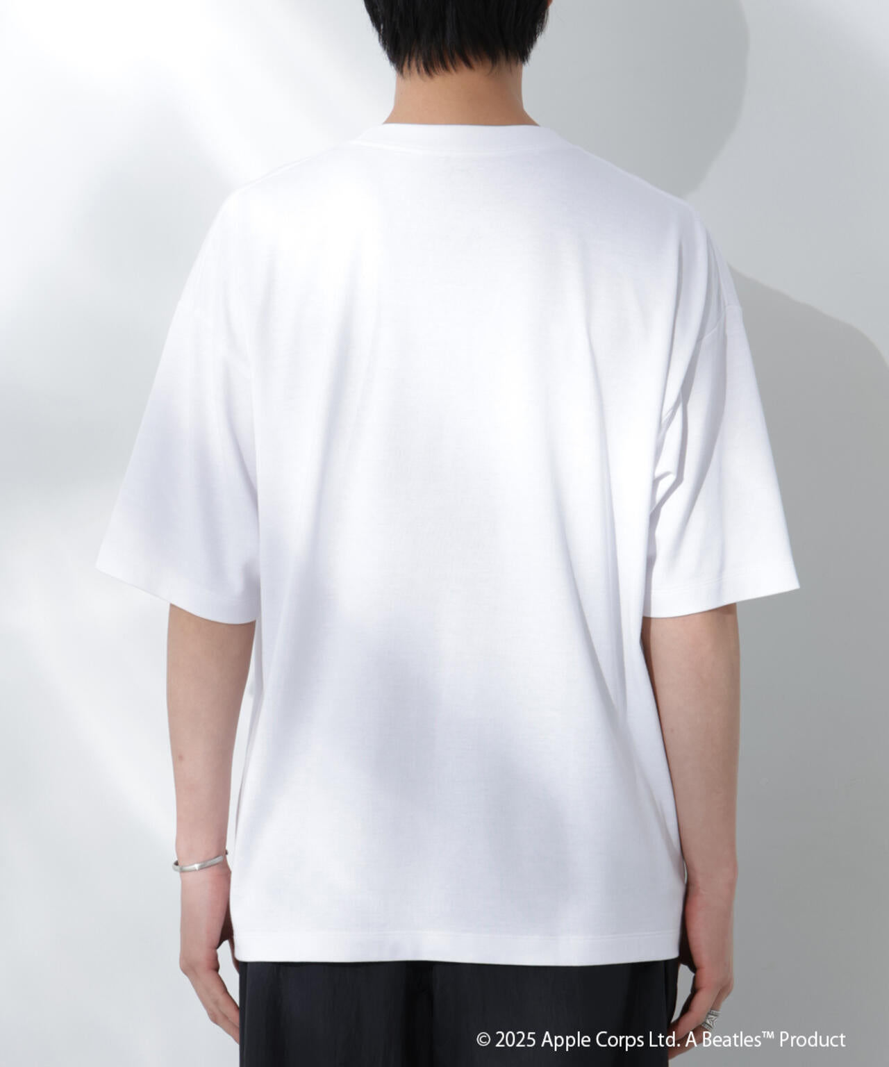 2b30a0be-4c70-52f1-812e-f750db516d82_Image