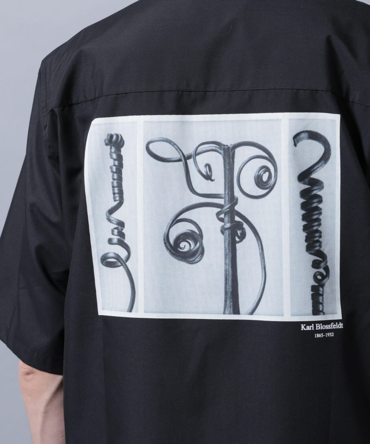 「着るアート」karl blossfeldt 半袖シャツ1