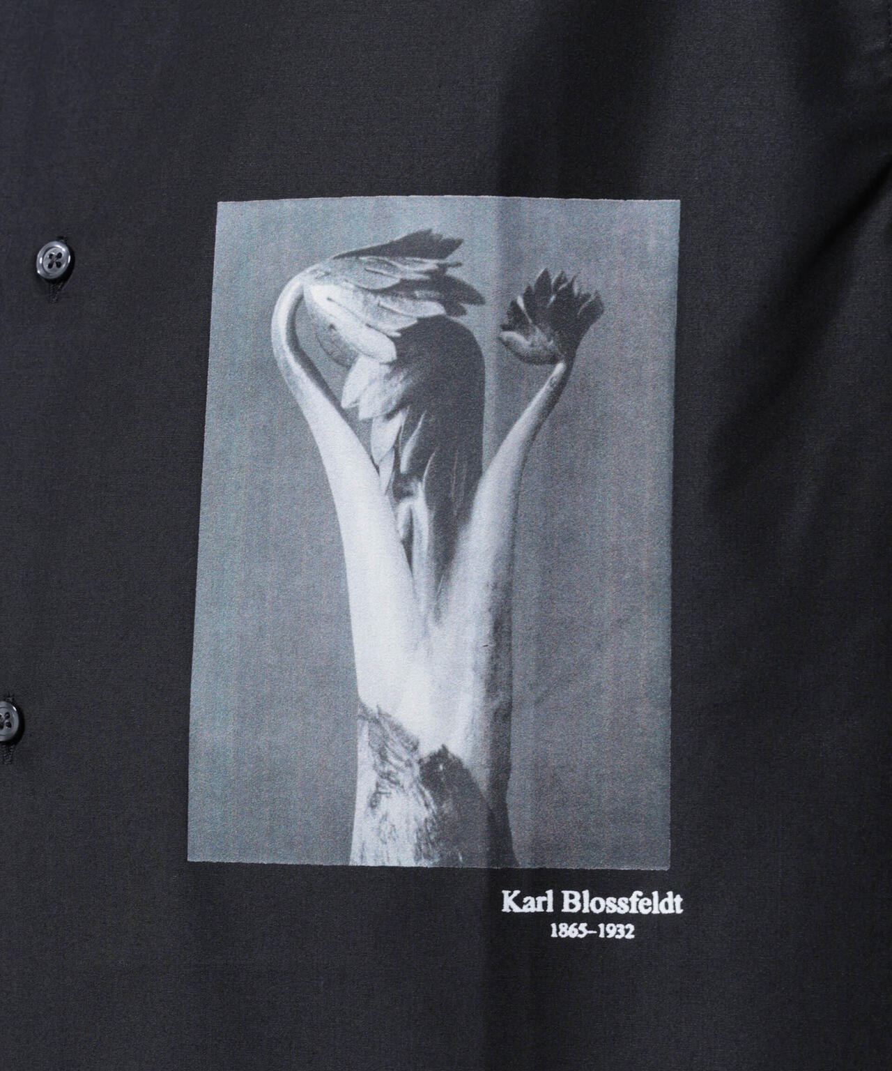 「着るアート」karl blossfeldt 半袖シャツ2