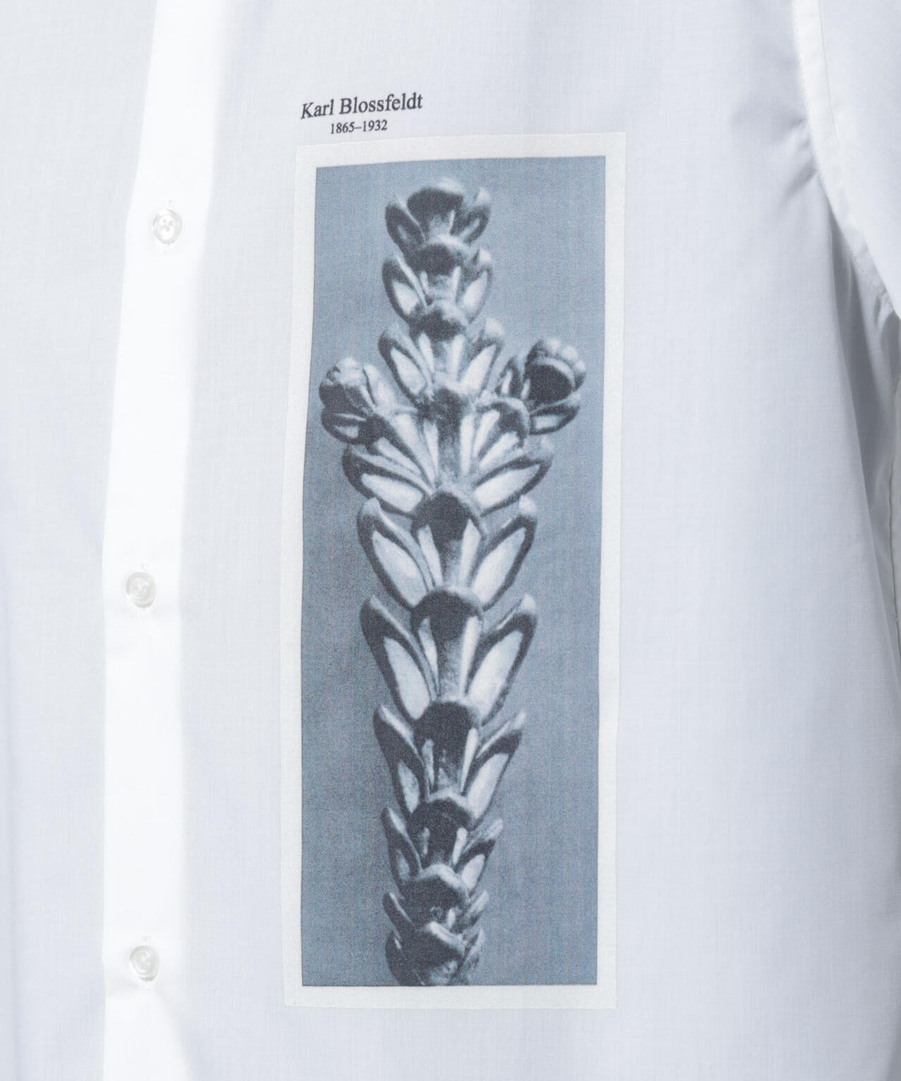 「着るアート」karl blossfeldt 半袖シャツ3